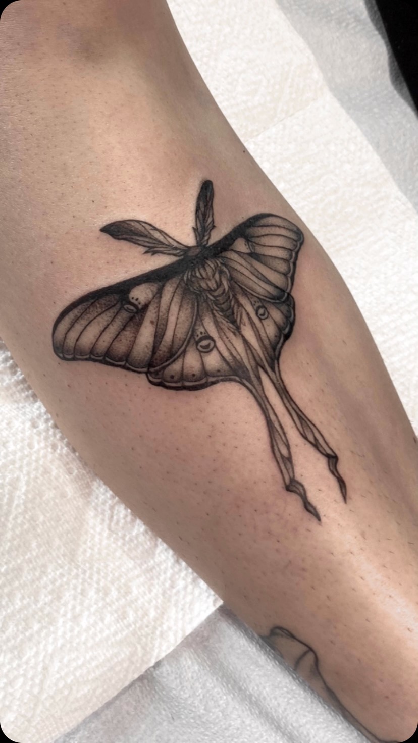 It’s been a minute since I’ve posted any moths!
Come catch me at @milwaukeetattoofestival this weekend with the lovely @nikihughestattoos, @mutated_sushi, and @oddzephyr 💜 I still have some space left to prebook Friday and Sunday, shoot me an email! 🦇