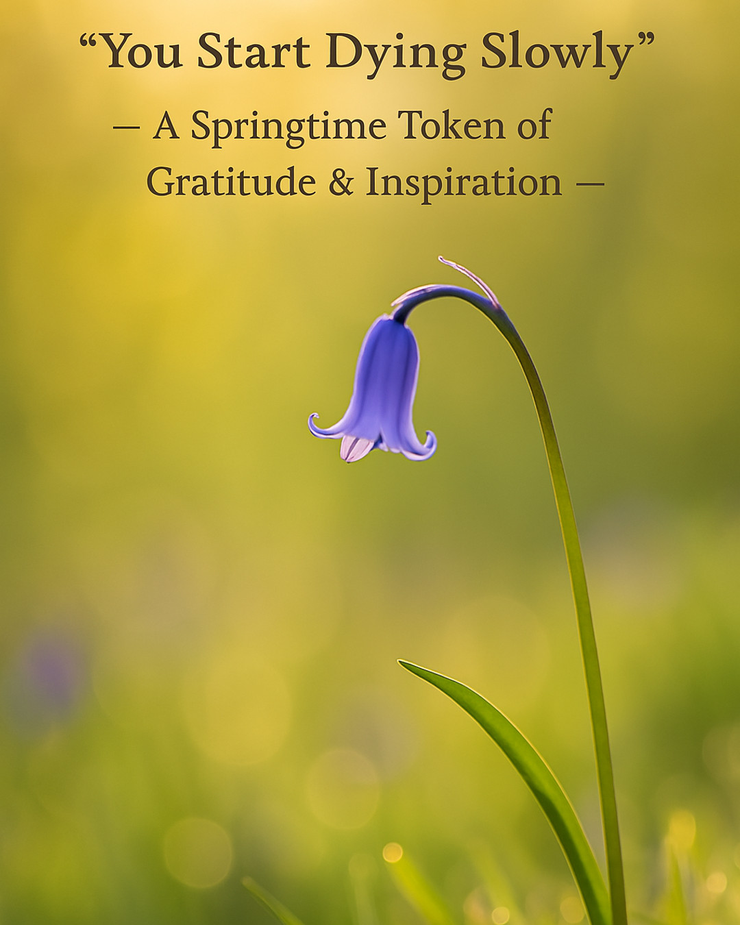 As we embrace spring, let's reflect on the clarity that it gratitude brings. The bluebell may be fleeting, but its message is timeless. 🌸 Link in Bio #SpringAwakening #YouStartDyingSlowly