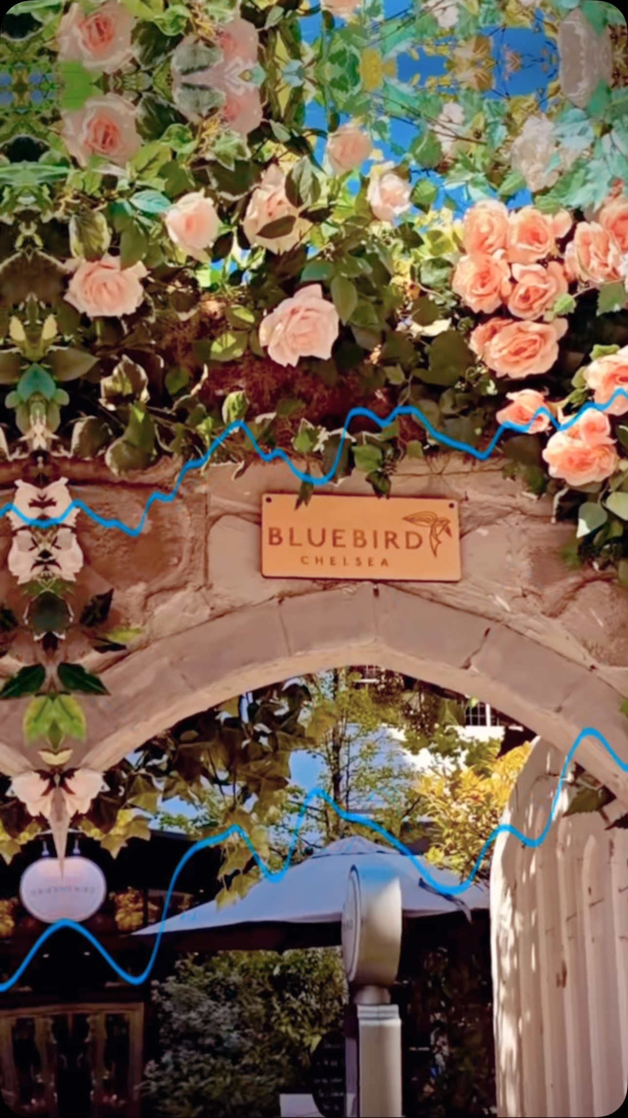 Fun nights on the Kings Road 🪩🪩🪩
Always a vibe @bluebirdchelsea dancing untill the lights come on 💃🕺🙏
@alrmusic