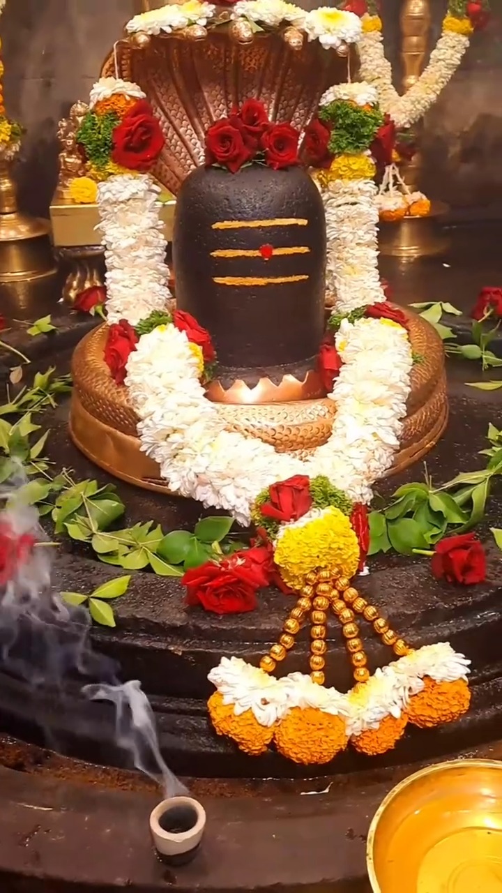 Experience divinity the natural way. 🕉️✨ Performing Shivling Abhishek with the sacred smoke of herbal sambrani cups and Gomay incense sticks by Saddmaarg. 🌿🔥
Infused with Ayurvedic herbs and pure intentions, our organic puja samagri purifies your space, uplifts your aura, and strengthens your connection with Mahadev.
🙏 Let the sacred aroma awaken your spirit and invite the divine into your life.
🌺 Choose purity. Choose Saddmaarg. 🌺
👉 Follow us for more divine rituals, ancient remedies, and spiritual tips.
🔱 Shiva Devotion + Rituals
#ShivlingPuja #MahadevKeBhakt #HarHarMahadev #ShivShambhu #ShivaMeditation #LordShivaBlessings #ShivaRituals #ShivPrem #OmNamahShivay #PujaSamagri #OrganicPuja #EcoFriendlyPuja #SambraniCups #GomayIncense #HerbalIncense #NaturalFragrance #Saddmaarg #PurePujaEssentials
#ViralReelsIndia #ReelsWithPurpose #VedicLifestyle #IndiaReels #InstagramReelsIndia #TrendingReelToday #InstaRituals #MadeInIndia