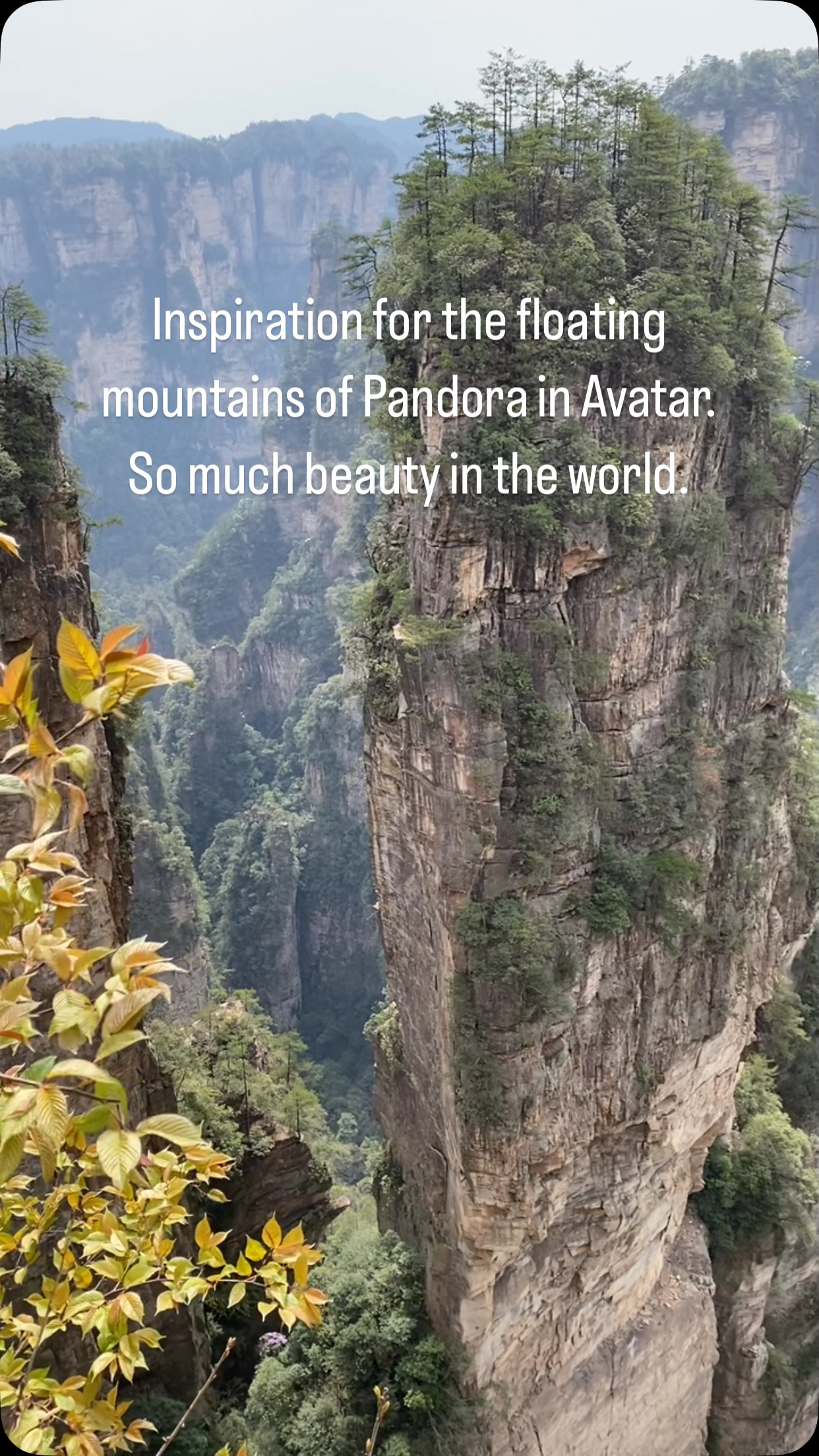 Still in Zhangjiajie National Forest Park, Hunan Province. Above the clouds. Spending time in nature is so precious. Connecting in. Deep gratitude to witness such a majestic landscape. Experiencing the energy. #nature #wondersoftheworld #healthyliving