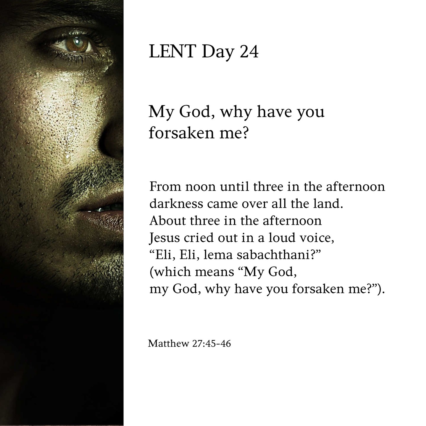 Bible Study at St. Elizabeth Seton Catholic Church Carlsbad 9:30am - 11:30am every Thursday. Please join us