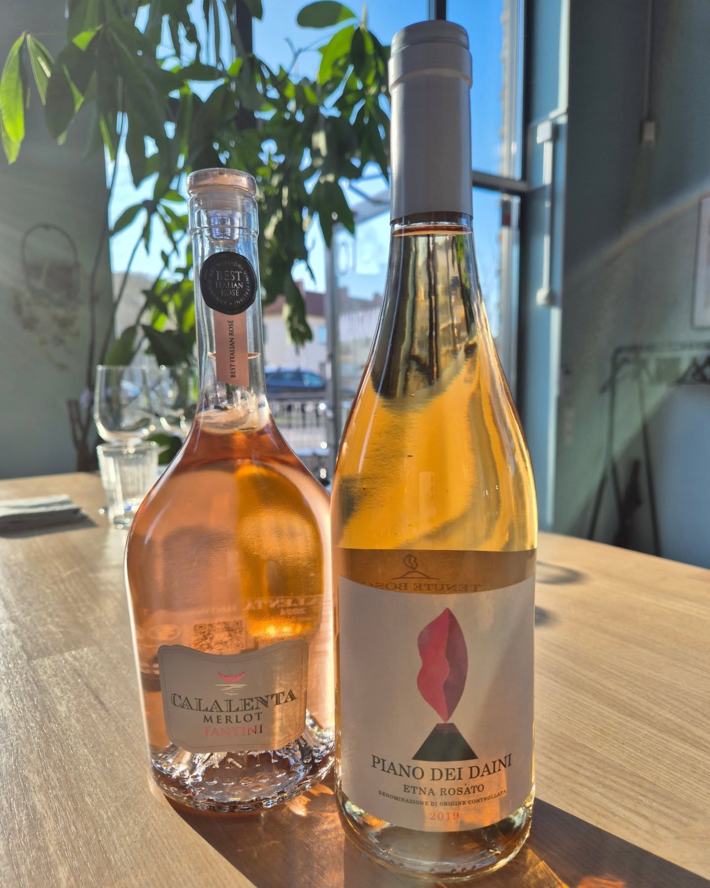 Nu börjar säsongen för rosè🍷🏵🌺🌞