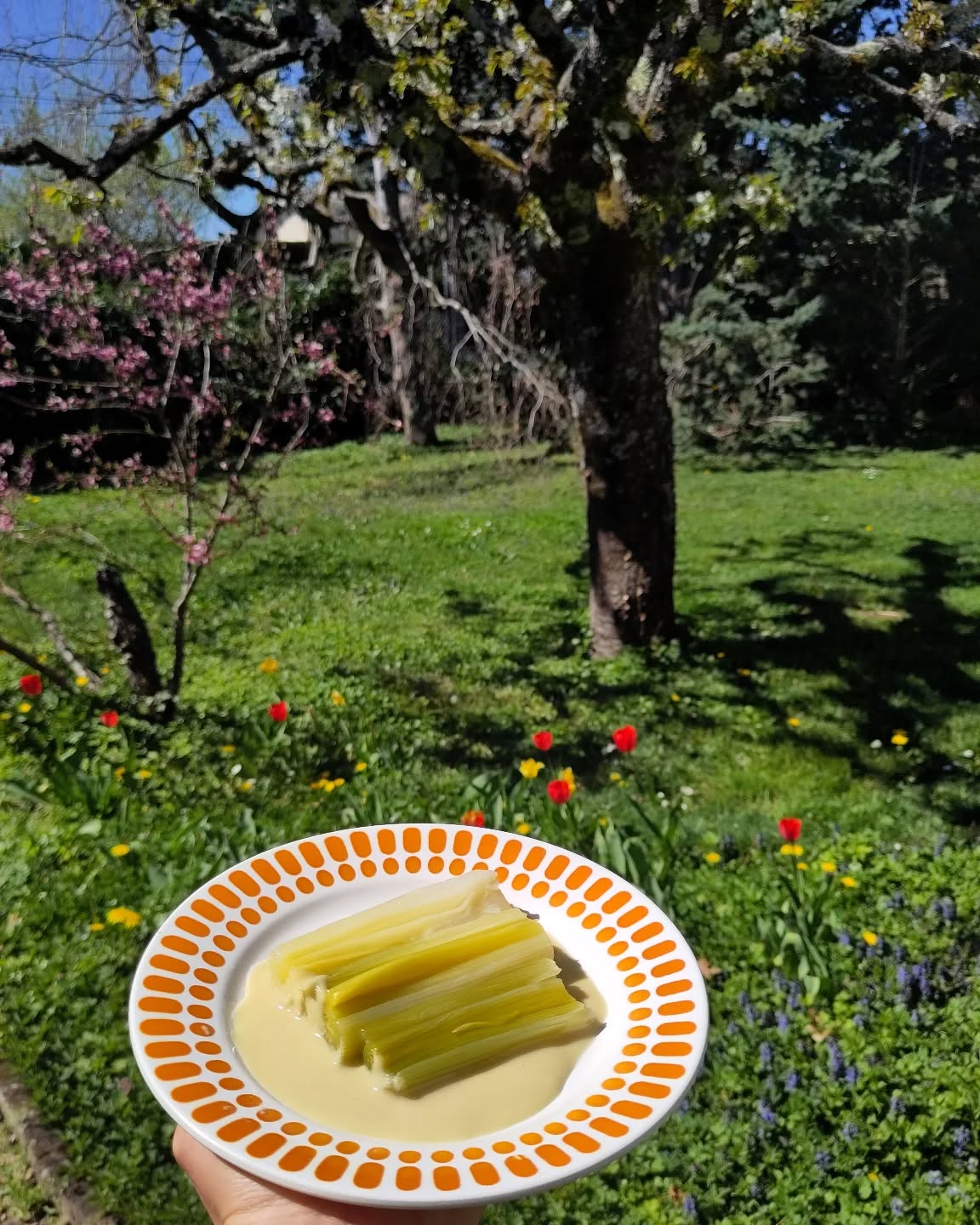 Poireaux en vintagegrette !
Champêtre le tournage de Enquête parallèle, saison 4 !
#nature #naturalfood #vegan #foodies #onset #catering