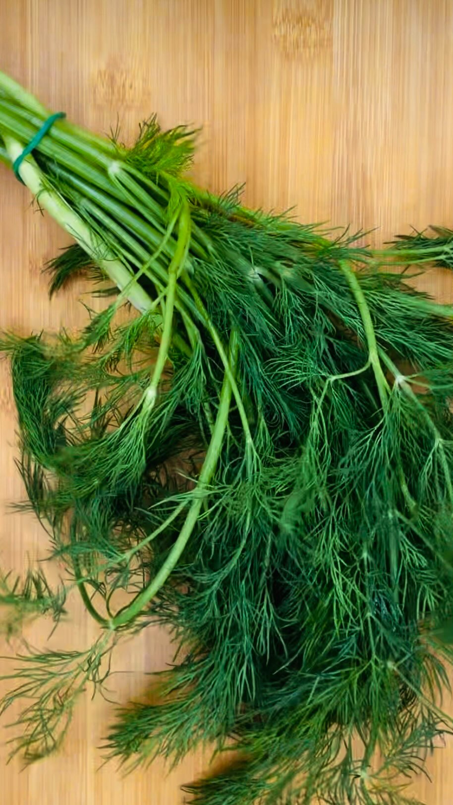 La lettre à Aneth 🌱
#villamartelle #sansalcool #gastronomie #foodpairing #recette #drinkbetter #saumongravlax