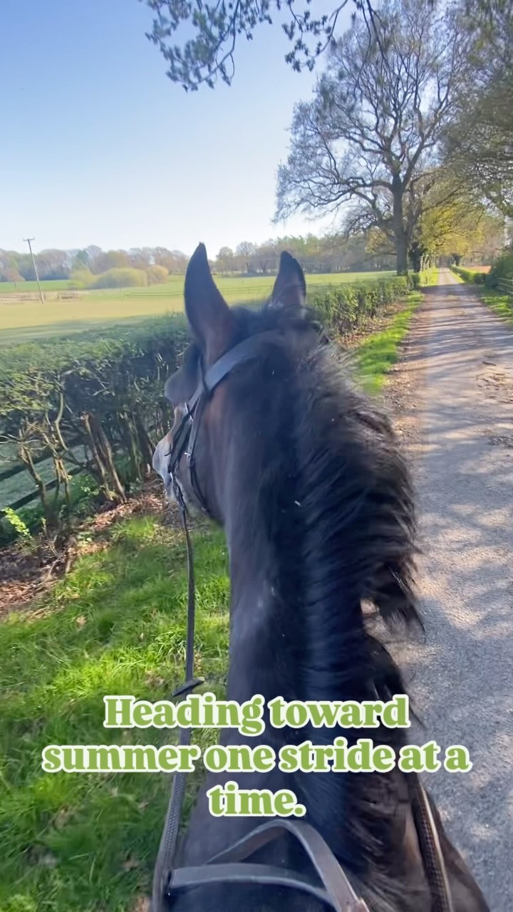 Riding through the summer countryside, there’s a special kind of magic in the air. At Estride Media, we believe every ride tells a story — one of connection, freedom, and passion for horses. Whether it’s capturing the serene moments of a peaceful ride or showcasing the thrill of the canter, we’re here to tell your equine journey through the lens. Let us help you share your love for horses with the world. 🌞🐎
#EquineMedia #HorsebackRiding #SummerVibes #EquinePassion #RiderLife