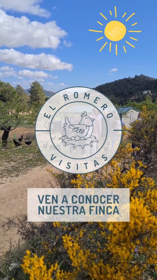 Ven a visitar nuestra granja y a conocer en primera persona cómo viven nuestras gallinas.🥚🐔⛰️
Una actividad para pasar una bonita mañana en plena naturaleza con tu familia o amigos, donde conocerás nuestras razas de gallinas, la importancia de conservar las razas autóctonas y curiosidades sobre la finca.
Además, aprenderás cómo se forma un huevo o qué significa el código que aparece impreso en ellos, entre otras muchas cosas.
Haremos una bonita manualidad con los más pequeños y tendremps una pequeña degustación de un plato elaborado con nuestros huevos.
Y para terminar, te llevarás una caja de huevos que tú mismo podrás preparar.
¡Te esperamos!
📅 Fechas abiertas el 3 de Mayo y el 7 de Junio.
✨️Haz tu reserva en nuestra web.
#visitafincaecologicaelromero #planesenfsmiliamurcia #huevosecológicos #experienciaruralmurcia