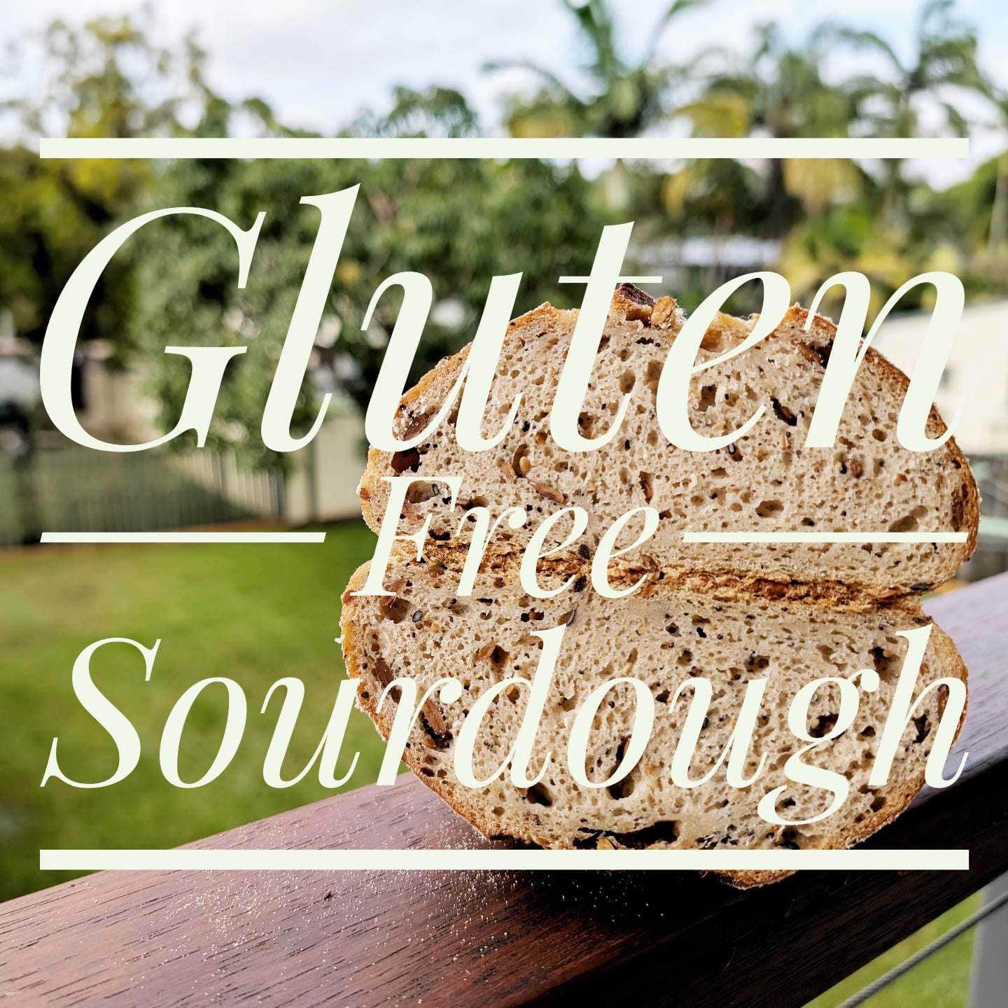 For those that think Gluten Free bread is always dense and heavy, I'm certain we can prove them wrong š What's even better, it's made of 100% sourdough! No nasties.
If you want to find out how to get on board the health train, send us a DM @siprego.artisanbaking . We'd love to chat! ā¤ļø
#crumbshot #crumb #opencrumbmastery #sourdough
#sipregobreadworkshops #painaulevain #naturallyleavened #sourdoughbread #homemadebread #bread #realbread #sourdoughbread #sourdoughbaking #sourdoughclub #sourdoughlove #wholewheatsourdough #wholewheatbread #breadstagram #homebaker #homebakedbread #brisbanesourdough #crumbshot #glutenfreesourdough #glutenfreebrisbane #glutenfreesourdoughbrisbane #brisbanesourdoughclasses #howtomakesourdoughbrisbane #beginnerssourdoughbrisbane #baguettesclassbrisbane #brisbanebestsourdough