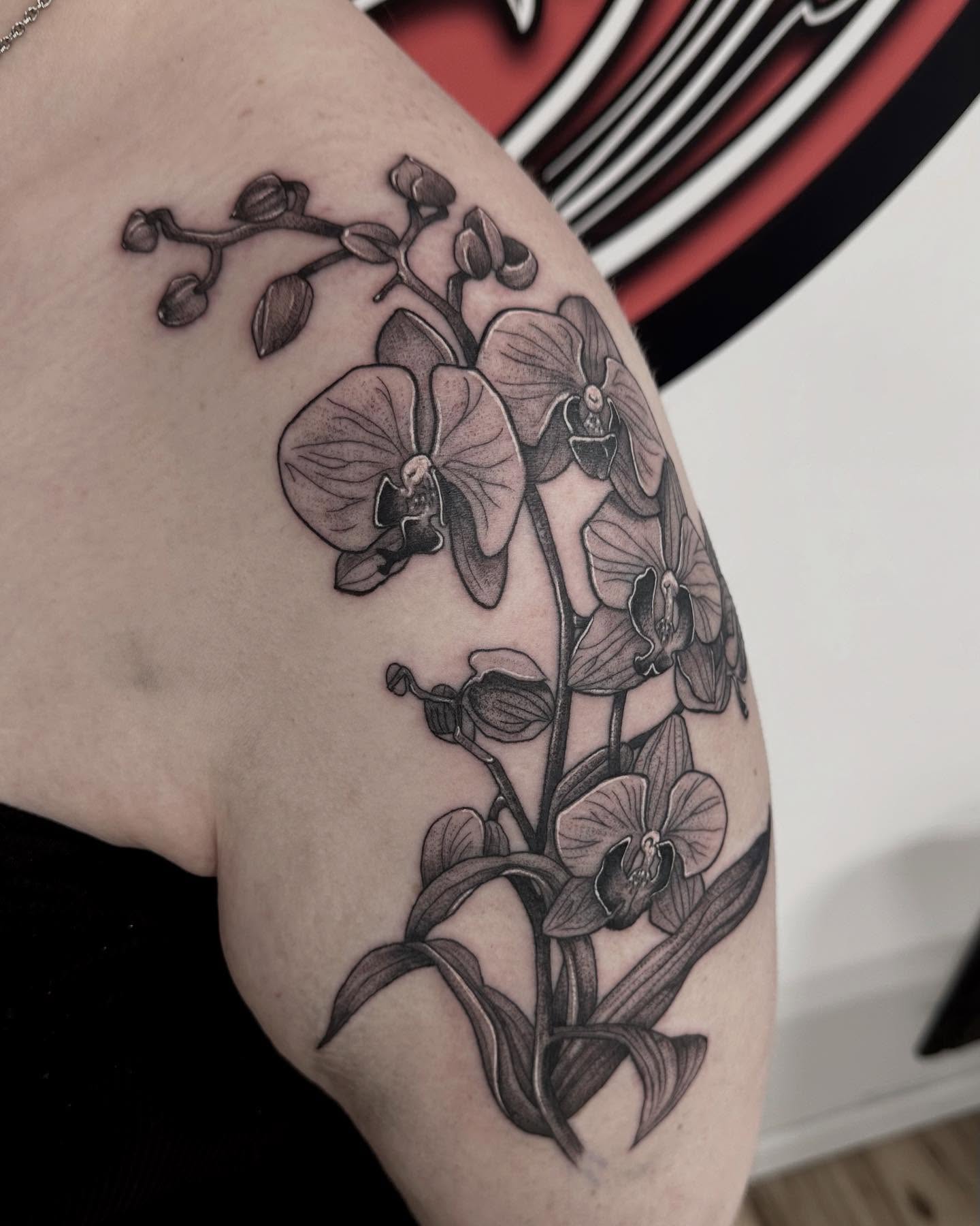 Aly has the 23rd, 24th and 25th of this month open. Book your consults on the website to snag em 🌞
Newrivertattoo.com