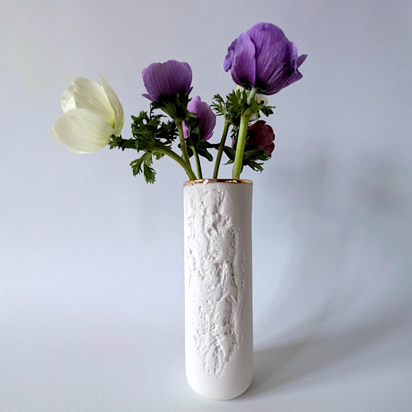 Vase ÉCORCE
-
Porcelaine et or
>
Le premier prototype avec un liseré or.
Cela faisait longtemps que je voulais tester ce petit liseré or, ajouter une petite touche précieuse à ma collection de vase.
J'en proposerai quelques uns lors de ma première sortie de l'année au @marcheceramiquegiroussens début juin.
D'ici là profitons de ce délicieux printemps !
Fleurs Anémones de @printemps.fermeflorale