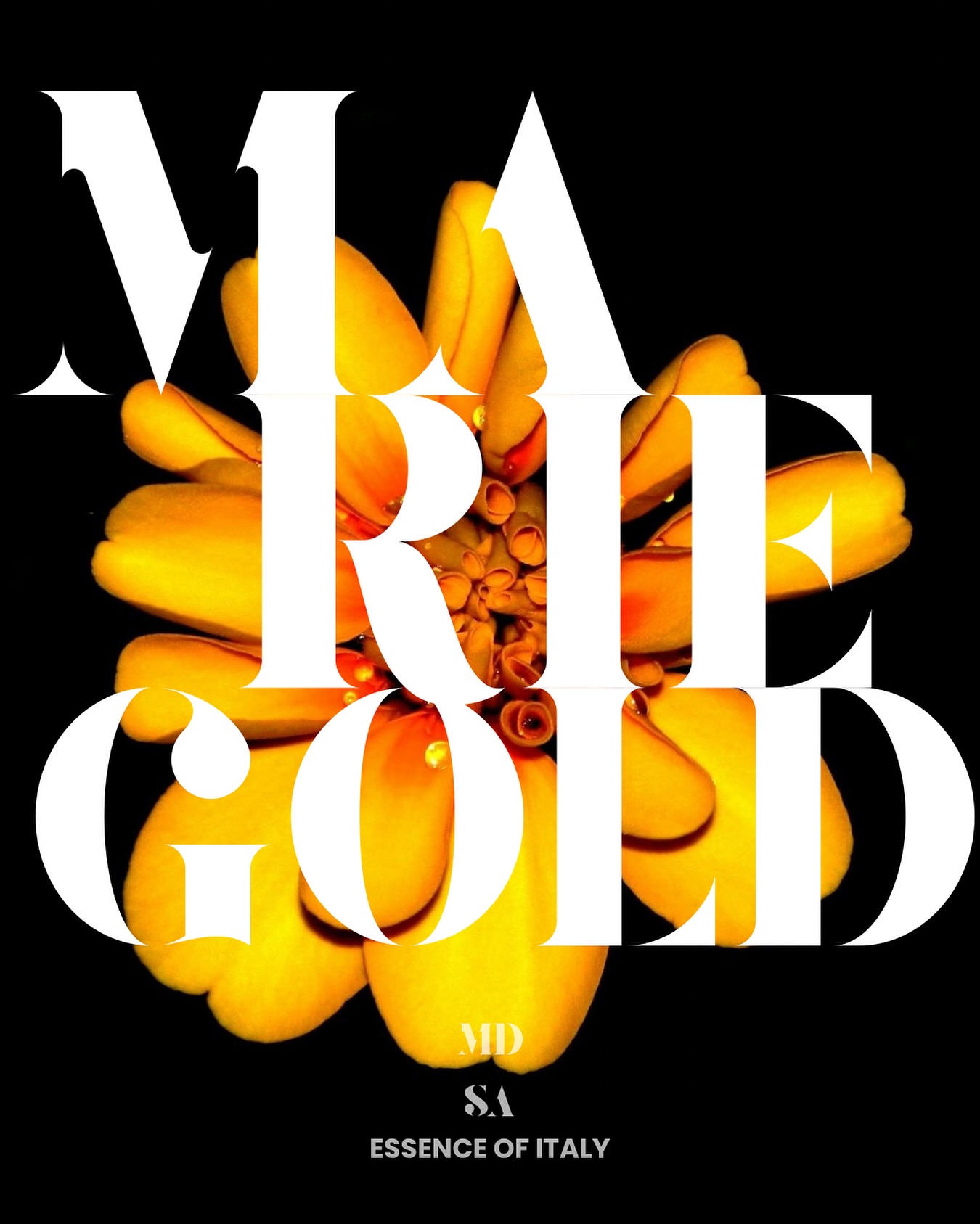 MARIGOLD — ESSENCE OF ITALY
In the heart of our gin lies a golden bloom — Marigold, the flower of sun and fire. Revered across cultures, but deeply rooted in Mediterranean tradition, it brings more than color.
Its petals infuse Medusa Gin with soft floral notes and a warm, subtly spicy edge. Not overpowering — just enough to make your palate lean in closer.
Crafted for those who seek beauty in details and stories in every sip.
MDSA — Essence of Italy.
#MedusaGin #MarigoldMagic #EssenceOfItaly #FloralGin #CraftedWithSoul #Ginlover #Botanical #Exotic