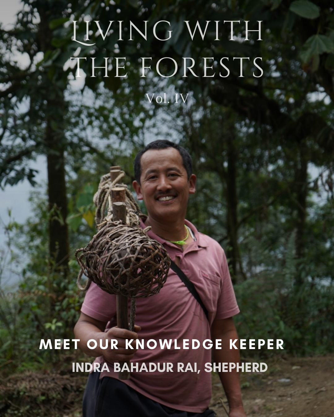 Meet Indra Bahadur Rai, a lifelong shepherd from Gabilakha, Todey-Tangta, who began his journey into the forest at the age of 13. From tending cows and sheep to navigating the changing landscapes of Neora, his life is a testament to resilience, deep ecological knowledge, and a vanishing way of life.
Once free to roam the forests with his animals, today he witnesses how shifting forest regulations and disappearing traditions reshape his connection to the land.
As a Knowledge Keeper in our upcoming Living with the Forests program, Indra daju will guide us through the Shepherd Trail—sharing stories, landscapes, and the wisdom of a lifetime spent walking with the wild.
#LivingWithTheForests #KnowledgeKeepers #ShepherdTrail #TodeyTangta #NeoraValley #EcologicalWisdom #ForestCommunities #IndigenousKnowledge #Muhaan