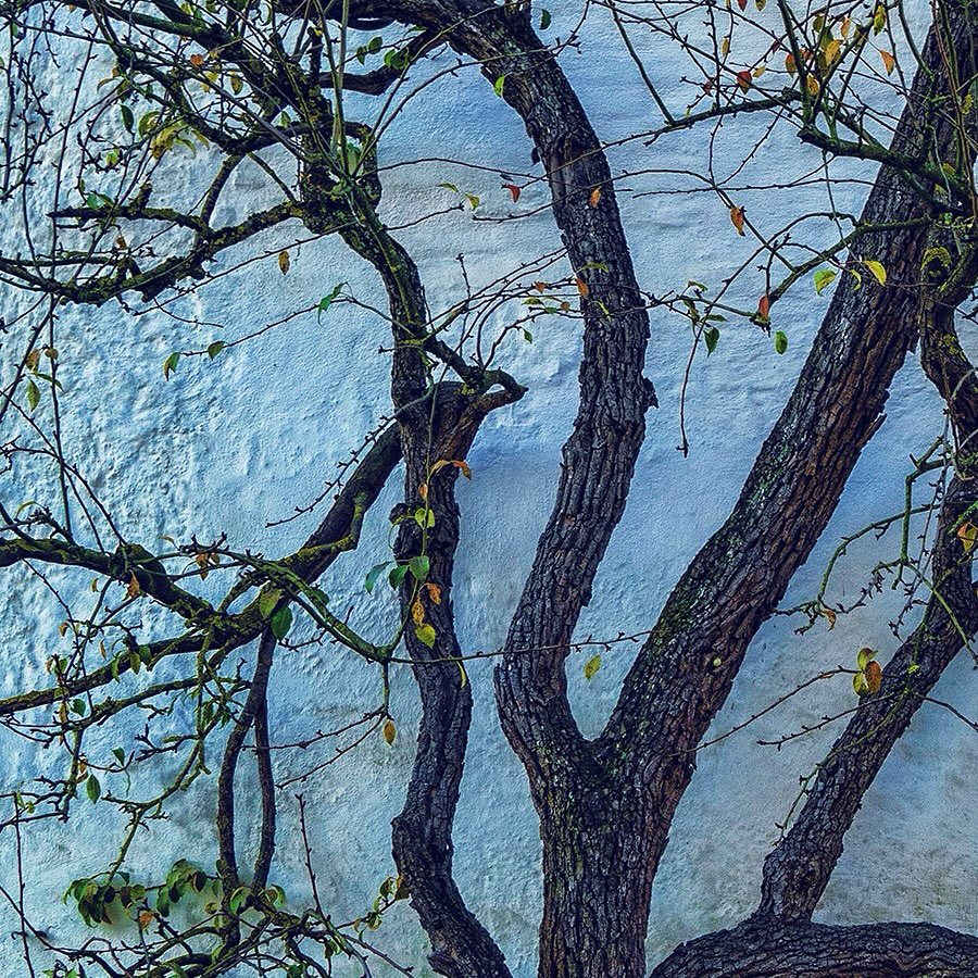 When we stop caring what people think ~ we lose our capacity for connection. When we become defined by what people think ~ we lose our capacity to be vulnerable. ~Brené Brown
#brenebrown #defineyourself #mentalhealthsupport #connectandgrow #mentalhealththerapy #mondaymood