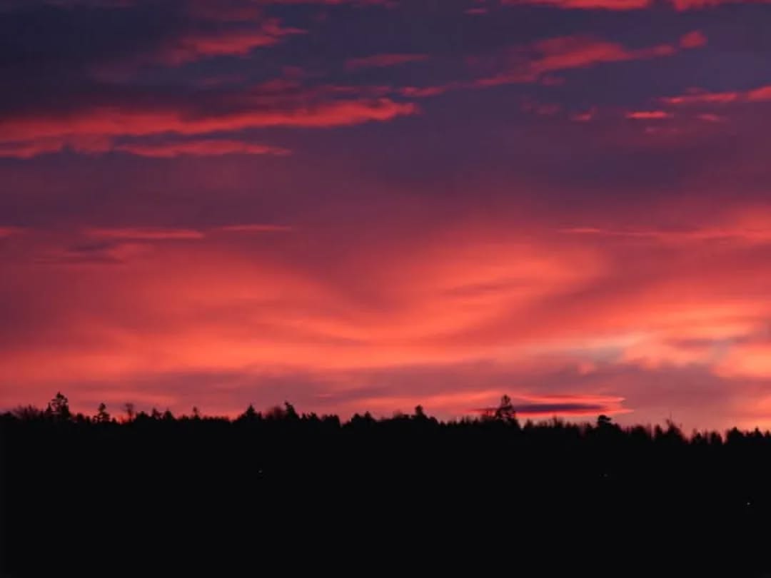 📷 Gabriella Toldi @toldi.gabriella