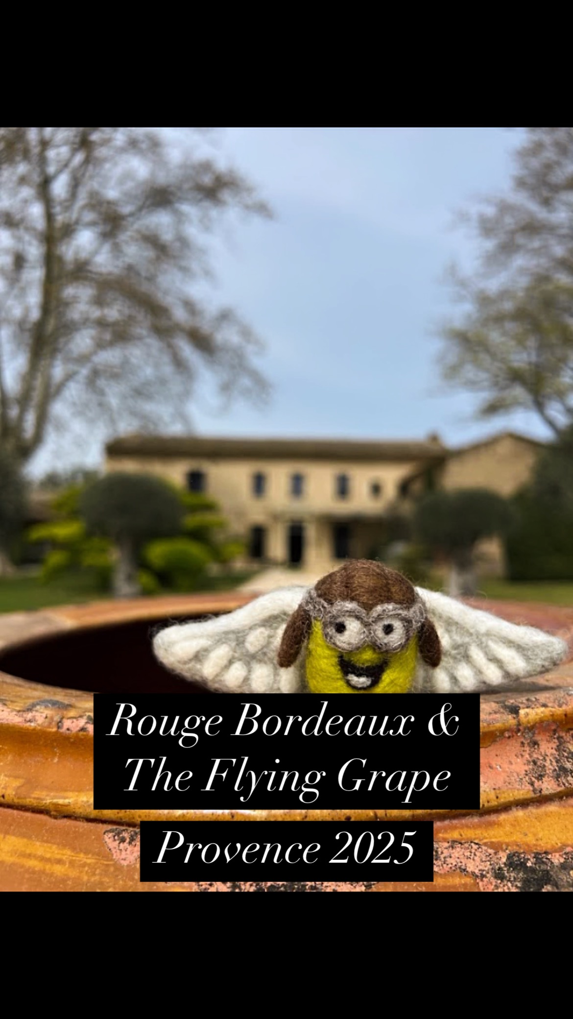 Provence 2025 🇫🇷✨
🎨 Angela offers the gift of art—inviting us to feel, create, and see beauty with new eyes.
🍷 Jason brings each wine to life with passion, stories, and expertise—every sip a moment to savor.
🍽️ Julien’s unforgettable meals at the stunning Taillades manor
🌿 Olive oil tastings under the sun
🏰 Hilltop villages like Les Baux-de-Provence
🍷 The bold wines of Gigondas, Châteauneuf-du-Pape, Les Alpilles & Costières de Nîmes
🛍️ Antique markets in L’Isle-sur-la-Sorgue
🌉 Walk the Pont Saint-Bénézet & marvel at the Pont du Gard
TCWE & Rouge Bordeaux invite you to experience the magic, flavor, and soul of Provence.
#Provence2025 #WineAndWander #AngelaKallsenArt #JasonTheWineGuide #RougeBordeaux #TCWE #FrenchWineLovers #provenceretreat #tastetravelcreate