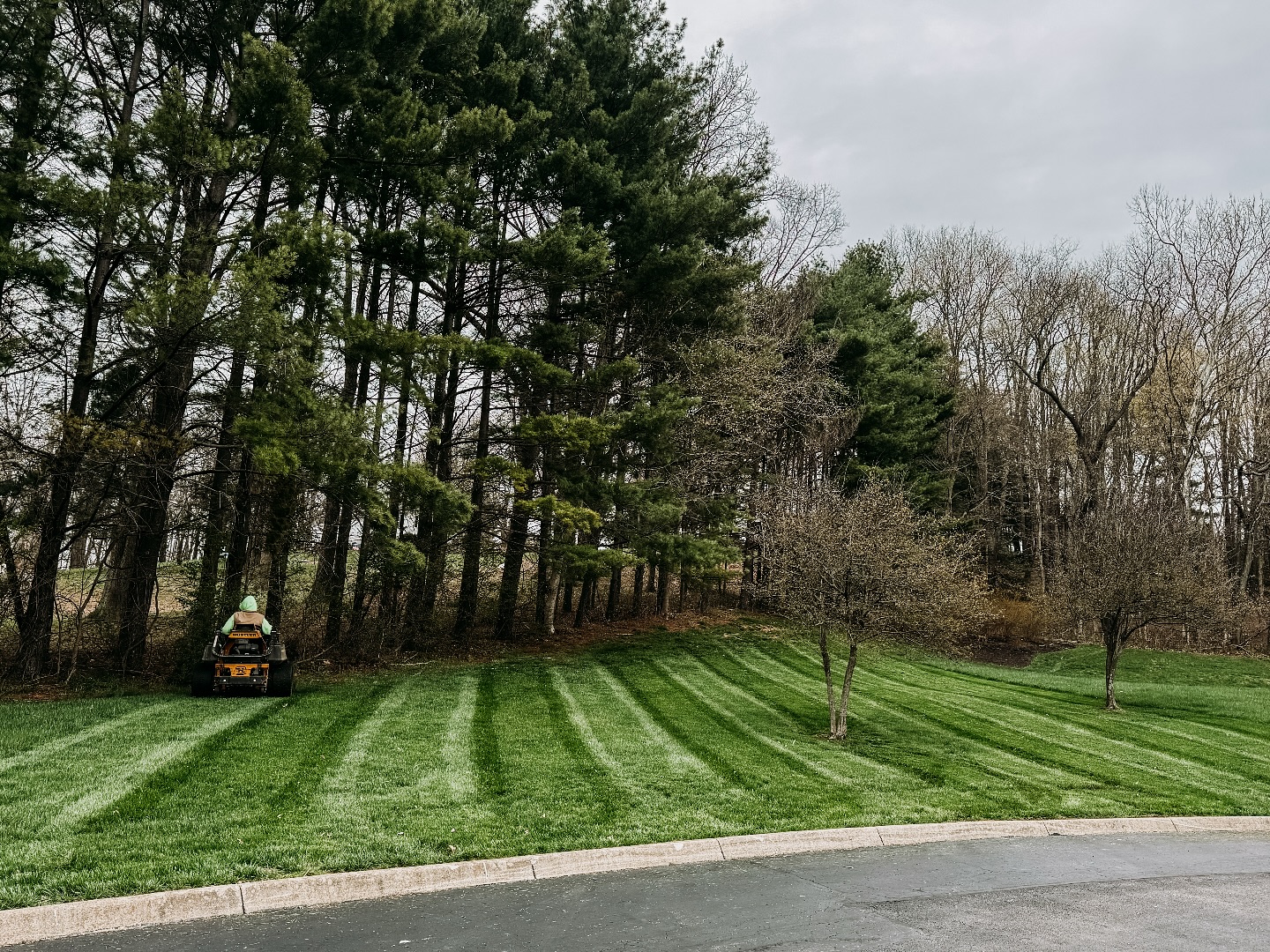 Stripe season once again! 🤩
.
.
.
.
stripes by: @corey.king_
#grass #stripelife
#stripenation #lawncare #lawncarelife #mowers #lawncarenation #zeroturn #zeroturnmowers #landscaper #landscapes #mower #lawncarenut #hustlerlawnmower #hustler #landscape #landscapingcontractor #landscapeprofessionals #landscapephotography