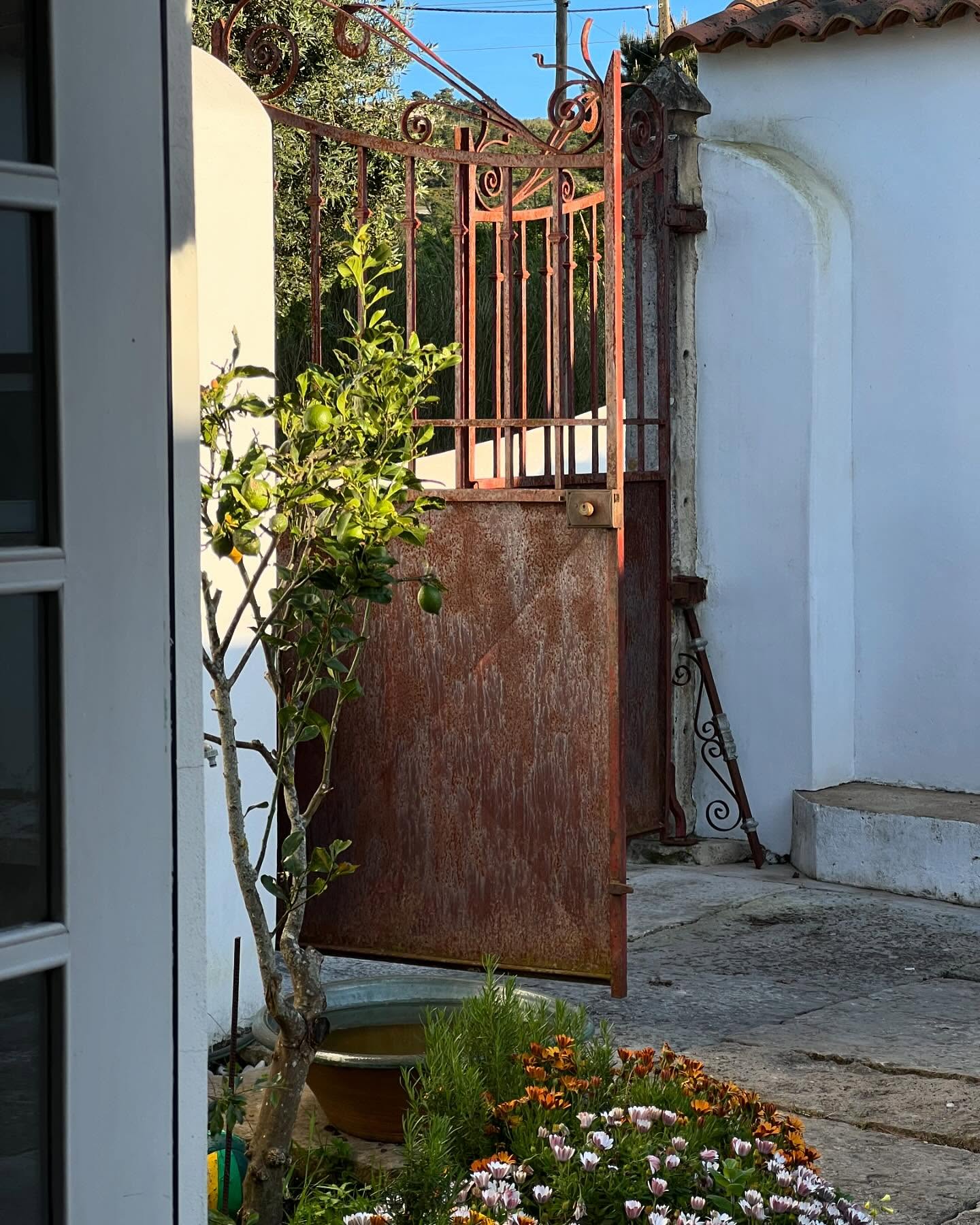 Witness the awakening of nature, spring time is the best 🌞
#casatudobem #tudobem #portugal #hotelportugal #guesthouseportugal #nature_obsession #awakening