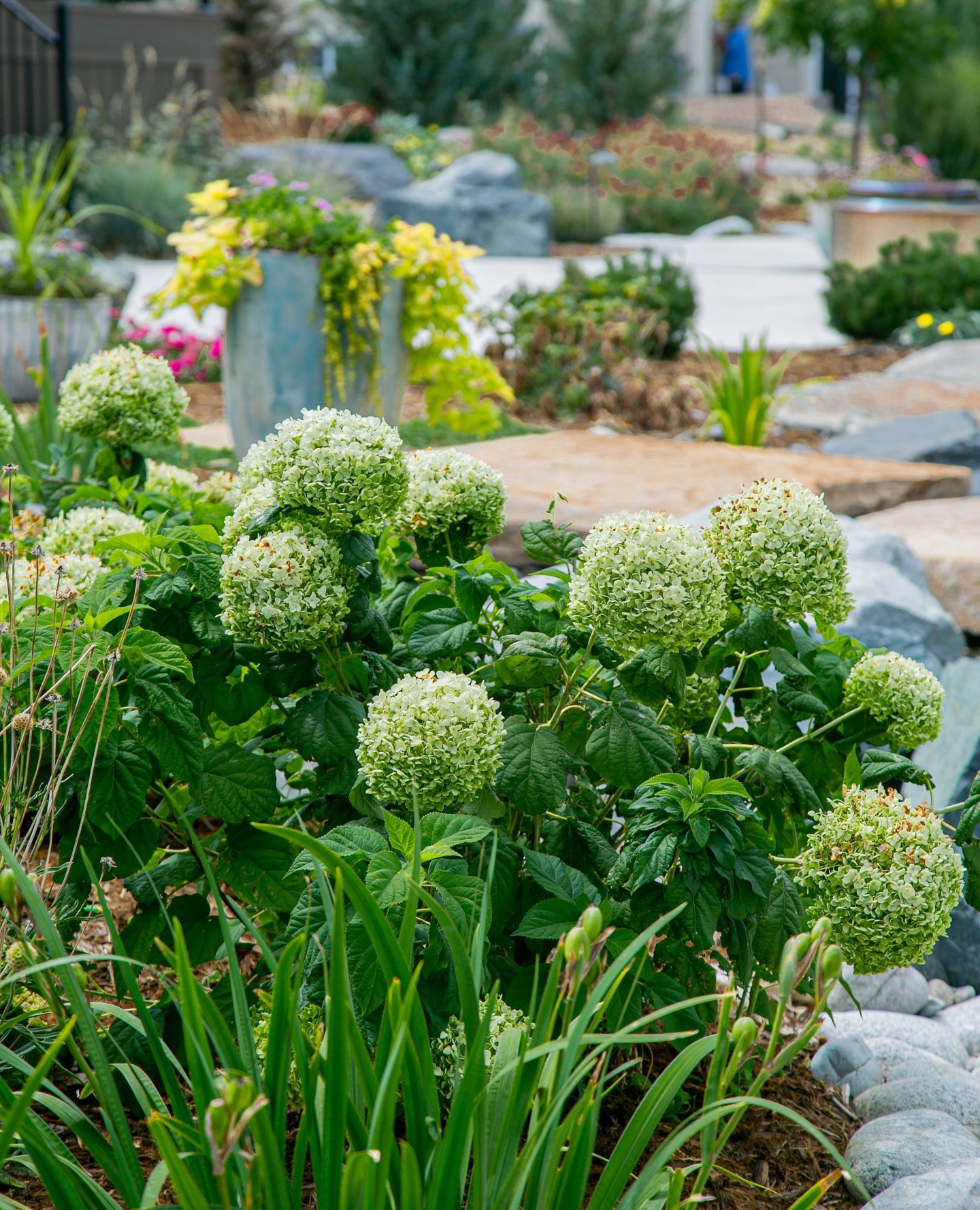 💧 Tired of hauling out the sprinklers or watering your garden beds by hand? Let us take the hassle out of hydration! Our professional irrigation services keep your lawn and garden thriving—automatically. Reach out today for a custom solution that fits your landscape! 🌿✨
#fortcollins #lovelandcolorado #backyardoasis #coloradobackyard #backyardinspo #backyardpool #landscapedesign #backyarddesign #landscape #landscaping #landscapeservices #landscapedesigners #outdoordesign #homeinspo #landscapearchitect
#outdoorlife #landscapingcompany #curbappeal #hometips
#outdoorfurniture #gardendesign #patio #landscapearchitecture #outdoorliving #exteriordesign #coloradorealestate #frontyard #exterior #gardeninspiration #hardscapedesign