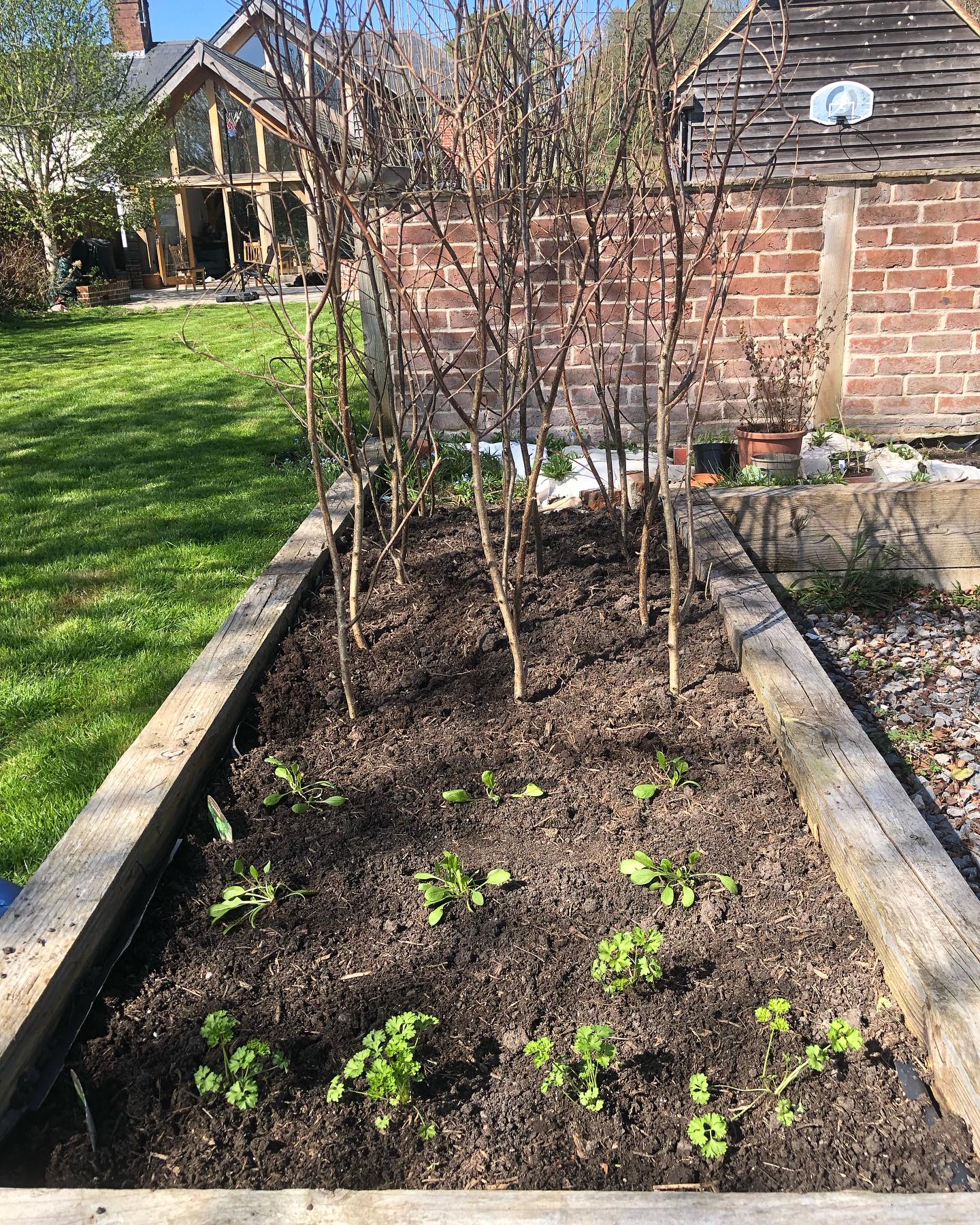 What a beautiful weekend to be out in the garden! 😍
The raised beds are going to be full of delicious veggies before too long 🤞🏻🤞🏻, forget me nots are looking stunning and my ongoing battle with the ground elder continues….I’m determined to win this year!
Hope you’ve had a lovely weekend and seen some sunshine wherever you are x 💕☀️🙂