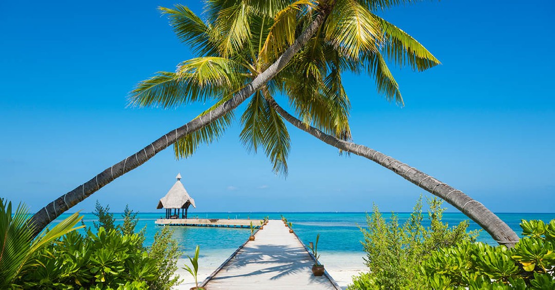 A tropical paradise that offers an escape awaits your presence. With its pristine beaches, crystal-clear waters, and lush greenery, Mauritius is the perfect destination for relaxation and rejuvenation. With a variety of resorts and hotels to choose from, you can find the perfect accommodation to suit your needs - from all-inclusive packages to luxury villas. So why wait? Book your flights and accommodation to Mauritius today and experience the beauty of this island paradise for yourself!
#VisitMauritius #CNDTravel