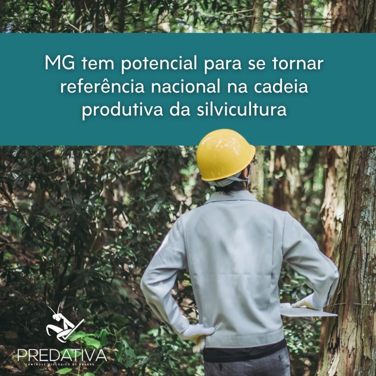 Você sabia que a biounidade desenvolvida pela Predativa para criação de agentes macrobiológicos é muito eficiente no manejo integrado de pragas do eucalipto?
Além de ser uma solução sustentável, permite que a produção aconteça dentro da própria fazenda. Dessa forma, o produtor se torna autossuficiente no desenvolvimento do seu insumo, além de economizar com mão-de-obra, materiais, energia elétrica e custo produtivo geral.
Visite o site no link da bio e saiba mais.
#silvicultura #agentesmacrobiologicos #controlebiologico #pragasagricolas #predativa