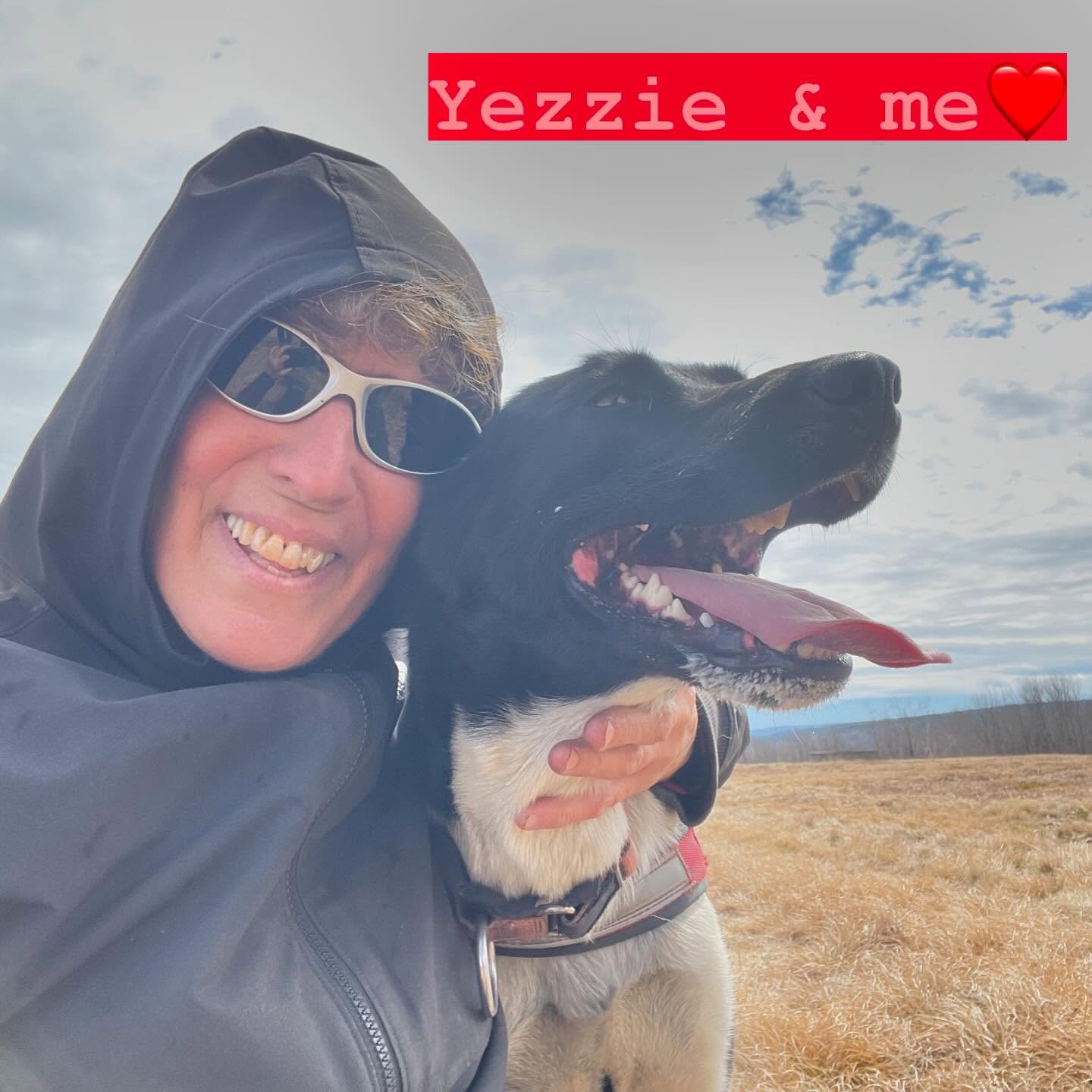 Yezzie & Vinnie in lead with me❗️❤️#hilltownsleddogs #leaders #myhuskies #myloves