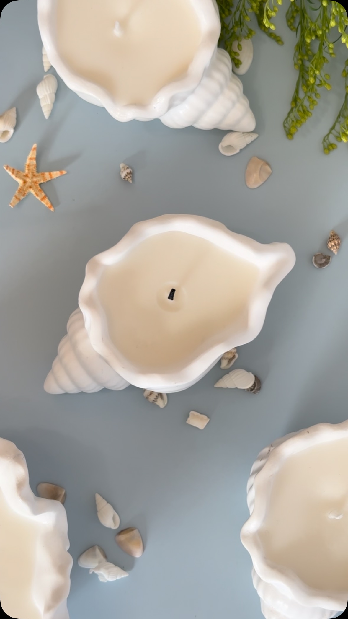 when the sea meets serenity 🌊 we love our shell candles - unique & coastal-inspired decor 🤍
