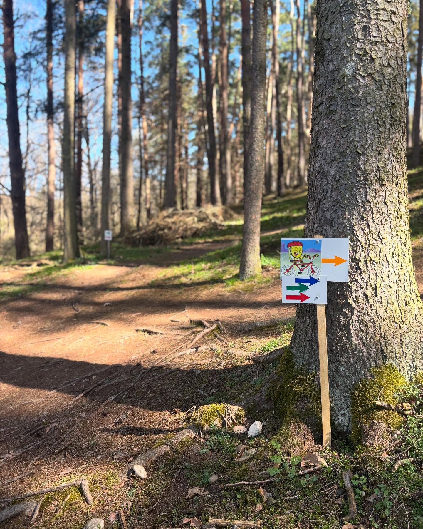 Tratě kompletně vyznačeny a připraveny!🤩
Než k nám vyrazíš, tak si zkontroluj barvu svého okruhu😉
🇬🇧
Tracks are ready!🤩
Before you come, controll your color lap😉