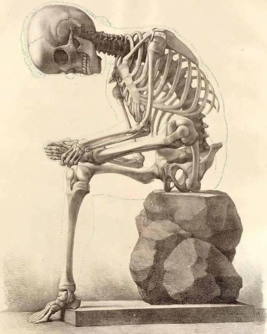 Did You Know: The 52 bones in your feet make up one quarter of all the bones in your body. When they are out of alignment, so is the rest of your body.
Foot ailments can become your first sign of more serious medical problems. Your feet mirror your general health, so conditions like arthritis, diabetes, nerve and circulatory disorders can show their initial symptoms in your feet. Having foot pain? ☎️0871644878 if you are interested in Osteopathic treatment?
#dundalkosteopathyclinic #dundalkosteopath #dundalkosteo #dundalksportsmedicine