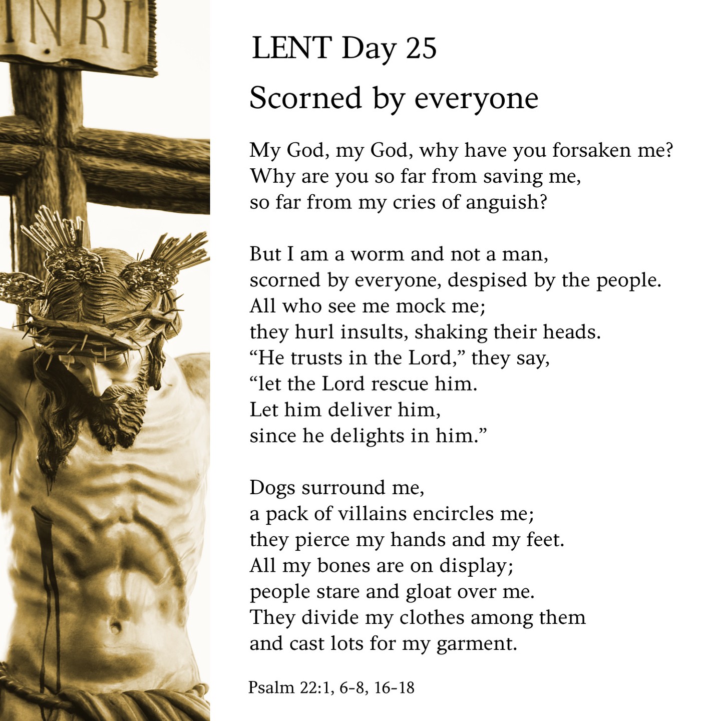 Bible Study at St. Elizabeth Seton Catholic Church Carlsbad 9:30am - 11:30am every Thursday. Please join us