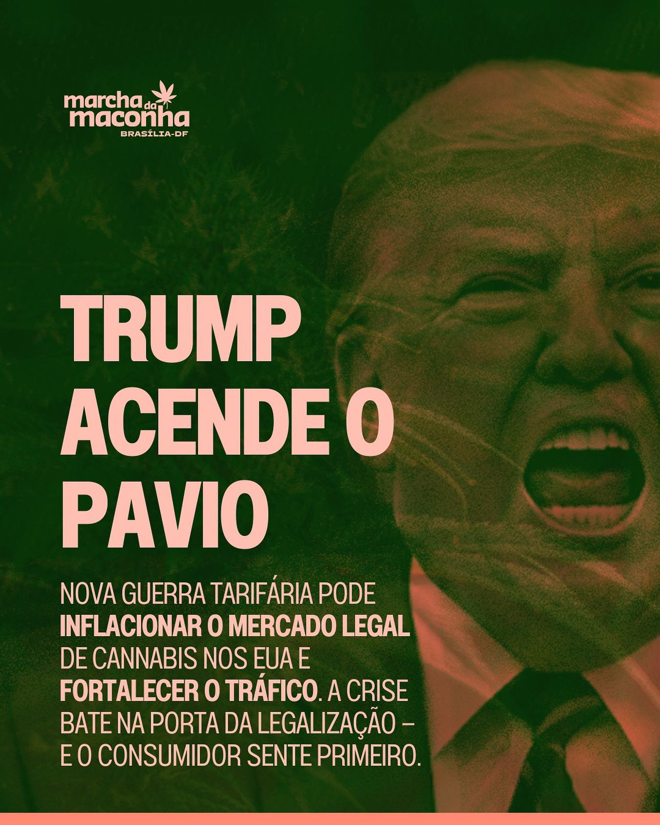 🧨 Trump acende o pavio
As novas tarifas comerciais anunciadas por Donald Trump miram produtos vindos da Ásia — e o mercado legal de cannabis nos EUA deve sentir o impacto direto. Muitas empresas dependem de insumos importados, como vaporizadores, vidros e embalagens, que agora ficarão mais caros.
Sem margem pra absorver os aumentos, o setor deve repassar os custos ao consumidor. Resultado? Preços mais altos, ações em queda e possível crescimento do mercado ilegal — mais barato e sem controle sanitário.
A medida afeta também fornecedores no Canadá, México e Europa, fragilizando toda a cadeia da cannabis legal. Especialistas alertam: a guerra tarifária pode sabotar os avanços da legalização e empurrar o setor de volta à informalidade.
