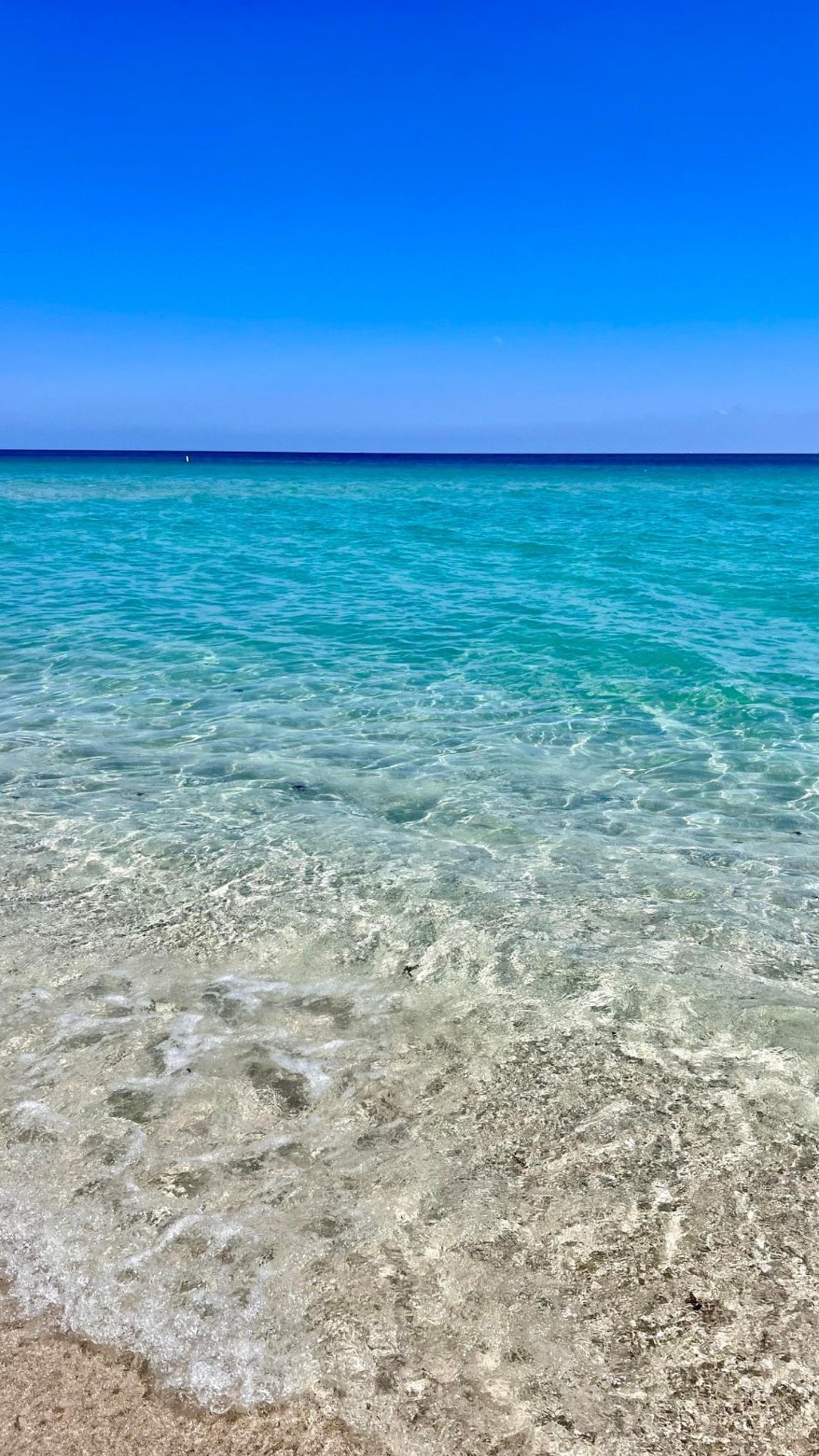 And she’s Alive 😮💨✨
Want to create your own? It takes less than a minute (literally), and I’ll guide you through it step-by-step.
Drop “DOLL MODE” in the comments & I’ll send you the exact prompt and instructions—FREE.
#DollBoxTrend #SequoiaSocials #MarketingDoll #ChatGPTPrompt #BusinessInStyle #BrandWithSequoia #ContentQueen #SocialMediaGlowUp