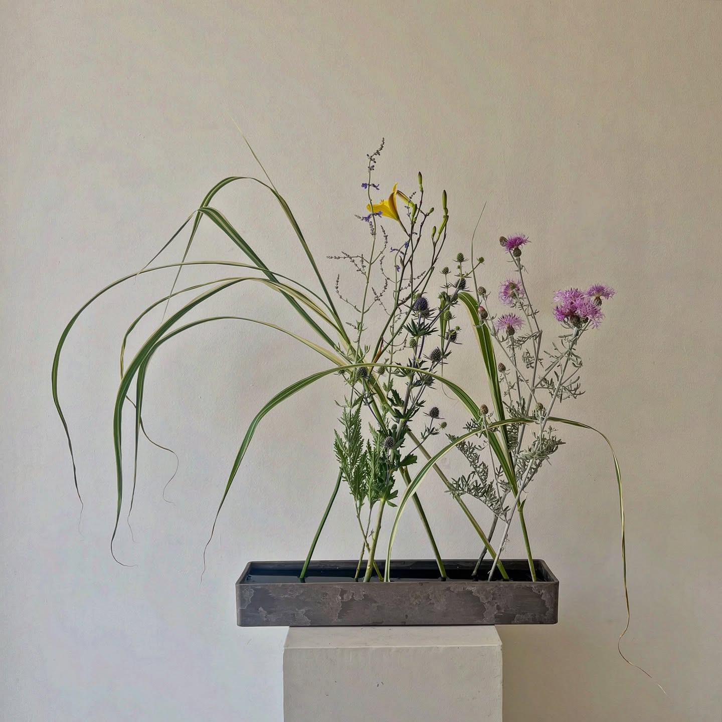 The joy of garden blooms, each with its own voice, gently intertwining and whispering stories to one another.
Flowers @antique_perennials
#ikebanamelbourne #crossingstyle #gardenflowerdesign