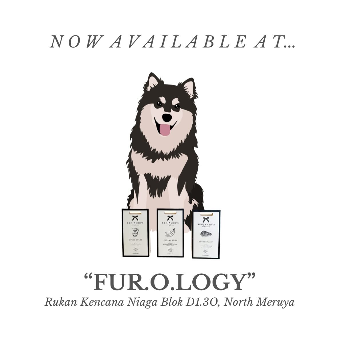 Dearest West Jakarta Furriends,
We are so excited to announce that our treats are now available for purchase at @fur.o.logy 🐶
Head on to their cafe to enjoy our sweet treats and don’t forget to explore their dog hotel, grooming & spa as you visit✨
#benjaminsbakehouse #benjaminsbakehouselaunch