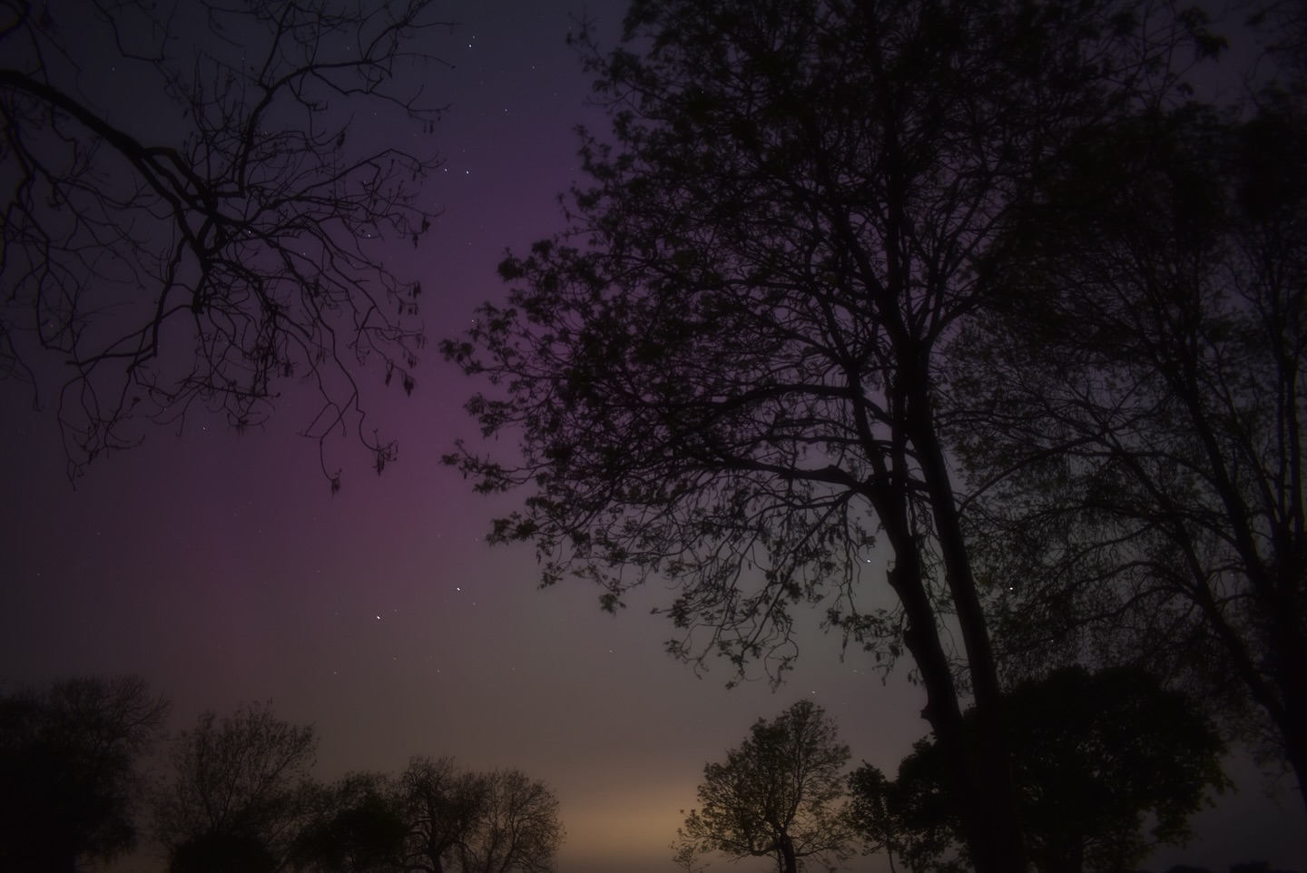 Just some Aurora Borealis from last year. A page is now up in my website, link in bio.
#auroraborealis #nightskyphotography #photography #photographer #nightlights✨