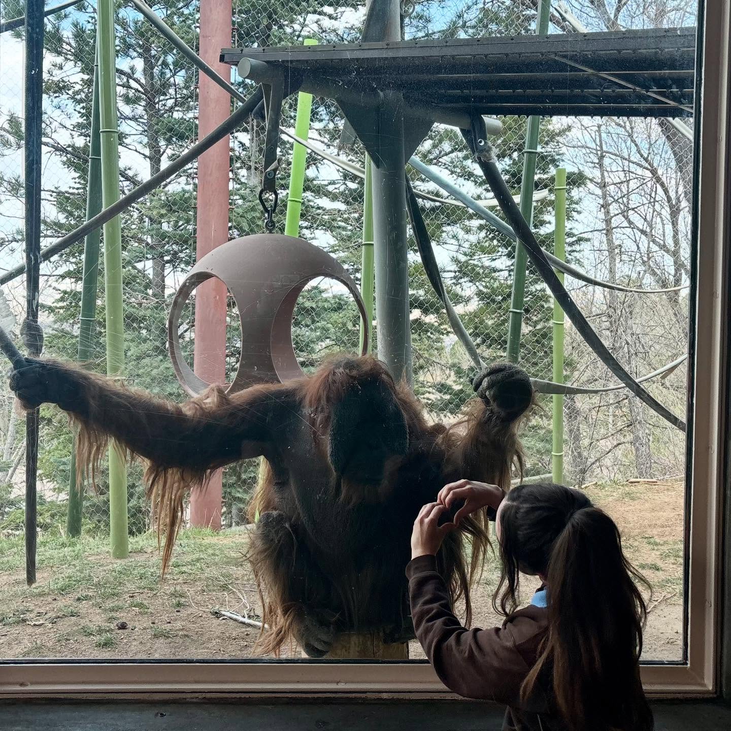 Some photoshoots with my friends 🫶