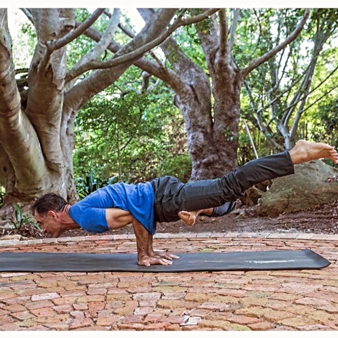 This SUNDAY! April 13 🐓🐥🐦🕊🦅🦢🦉🦤🦩🦚
Welcome back Jim Harrington for another incredible workshop. 1-5pm at Valley Shala in Hout Bay.
Taking Flight with the Birds – the energy of lifting in crane, crow, flying pigeon and other flying creatures. The grounded opening with the king pigeon.
Birds have long been a fascination for mankind and have help special significance in ancient cultures and traditional myths.
Several of the Yoga postures both modern and classical, carry the names of birds. They are beautiful and when practiced well bring a feeling of elegance. They work with gravity in order to defy gravity and hence refine our relationship with gravitational force, which is one of the few constant laws and in the world.
This workshop will be playful while educational. And knowing the key actions in the bird postures is a further step toward mastery of more advanced Yoga practices.
Book tickets with the link below... also in our bio 💫💫💫
https://qkt.io/aQgoq2