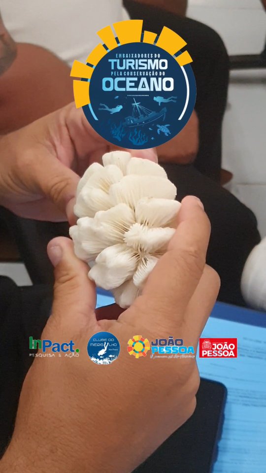 Avançando no curso de formação Embaixadores do Turismo pela Conservação do Oceano
@clubedomergulhojp
@inpact.org.br
@setur.joaopessoa
@pbturgovpb
@associacaoguajiru
#mergulho #turismo #diving