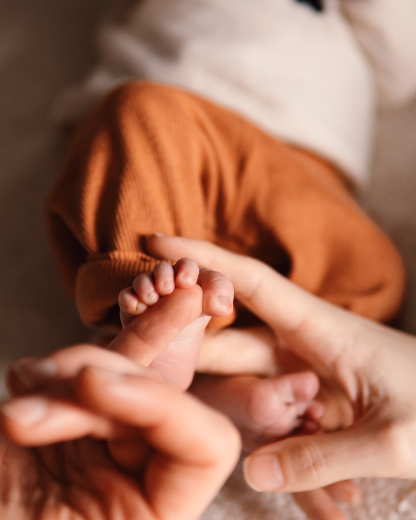 Vanochtend werd ik even stil gezet. Mijn oog viel op mijn screensaver van de iPad. Een foto van ons meisje als newborn in mijn armen. De kleine teentjes, haar korte beentjes en vingertjes. Ik dacht na over hoe iniemienie ons meisje was en hoe groot ze nu geworden is. In de afgelopen drie jaar hebben we met elkaar zo ontzettend veel meegemaakt. Heel veel ben ik alweer vergeten totdat daar die foto opeens is en de ver weggestopte herinneringen weer boven komen drijven. Ik ben zo dankbaar voor alle mooie foto's die de herinneringen warm houden ๐ค
#moederschap #mama #familiefotograaf #fotograafgezocht #newborn #dankbaarheid #lifestyle #lifestylefotograaf #zwanger #familyphotography #familyphotographysessions #fotograafveenendaal #fotosvanfloor