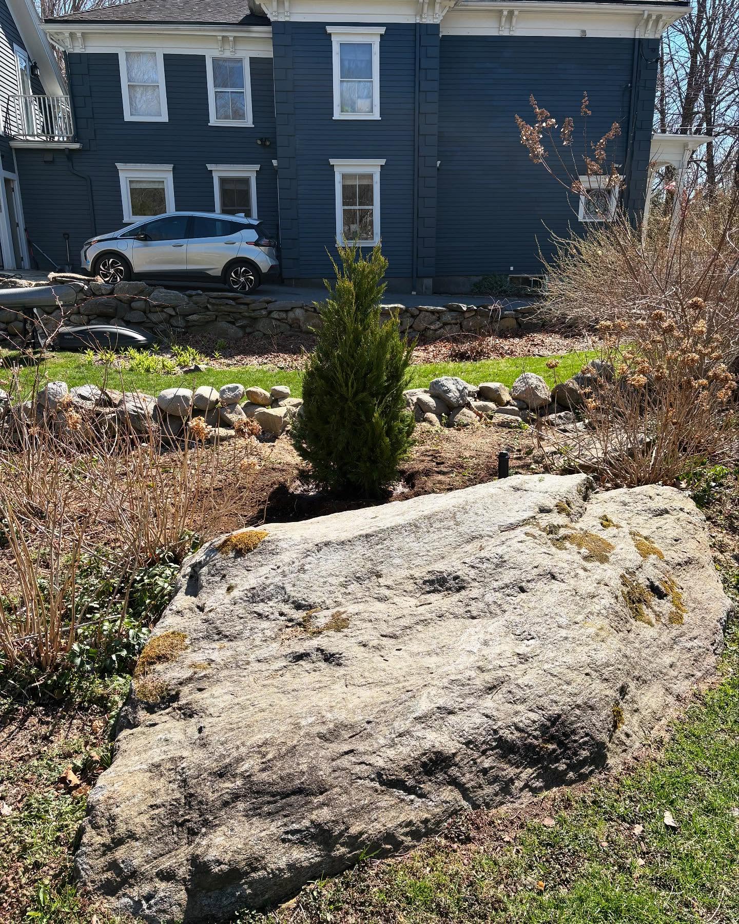 Grinding Stumps and Shrinking Trees . . . Spring has Sprung!🌲 🚜💐