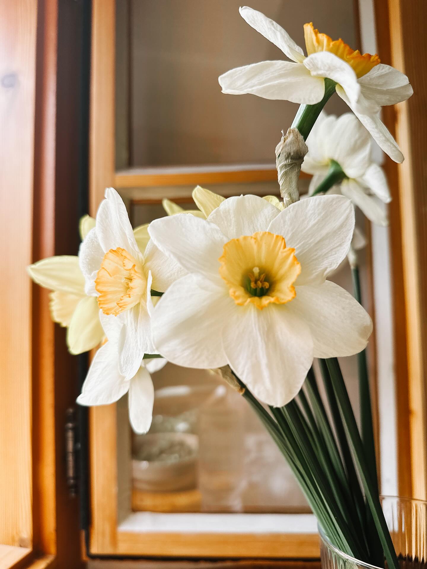 Pssss.. it‘s time! Frischblumen AB JETZT!
Narzissen, Ranunkeln, Anemonen und Tulpen warten auf euch - solange der Vorrat reicht auf Bestellung und ab Donnerstag auch im Regional Regal in Ardning.
#frischeblumenmachenglücklich