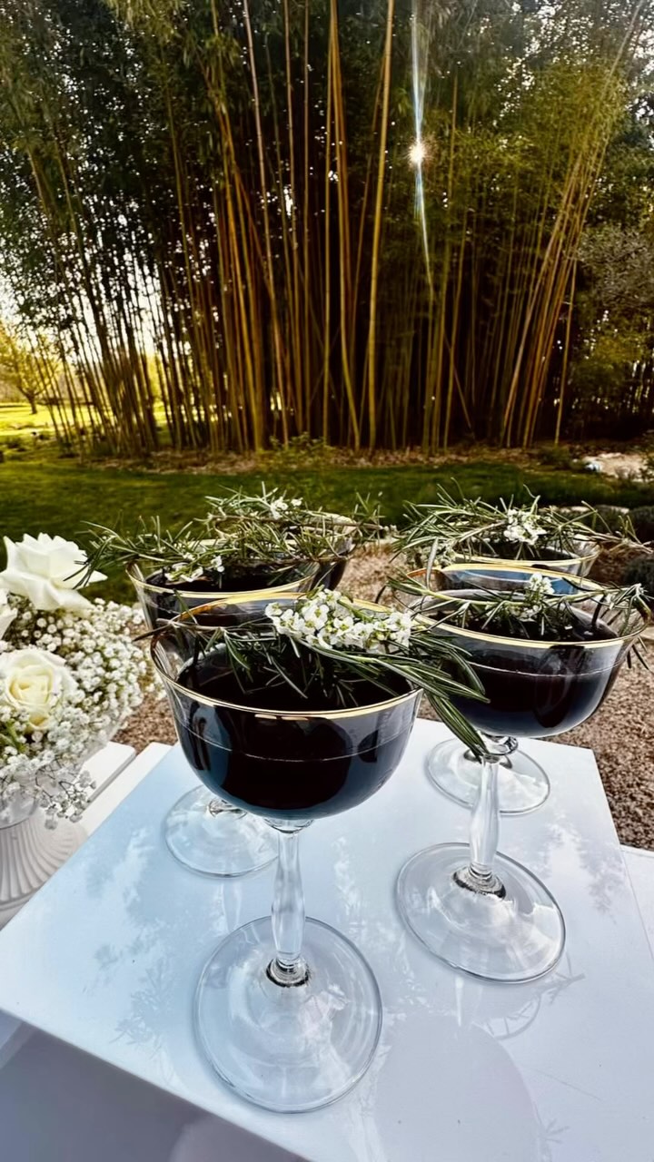 Retour sur une prestation cocktail lors d’un superbe mariage au Couvent de Notre-Dame des Prés 04 .
Un grand merci pour leur confiance et leur accueil chaleureux.
Vous aussi, offrez à vos invités une expérience unique autour du bar !
Réservez votre événement dès maintenant via le lien ci-dessous.
https://www.lecomptoirdalfred.fr
Sud de la France 📍
À très vite,
Le Comptoir d’Alfred