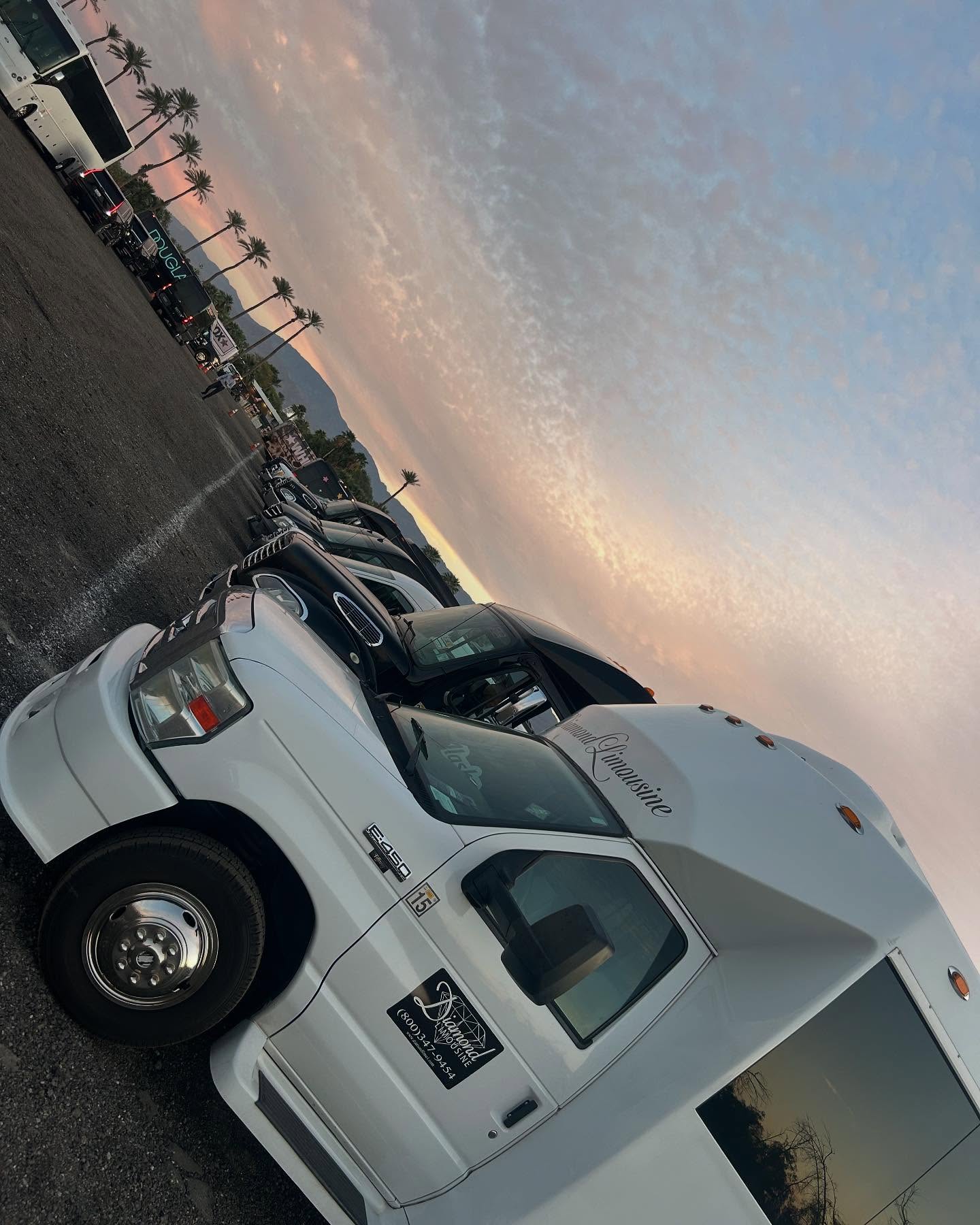 Coachella 2025 we up in this. #cochella2025