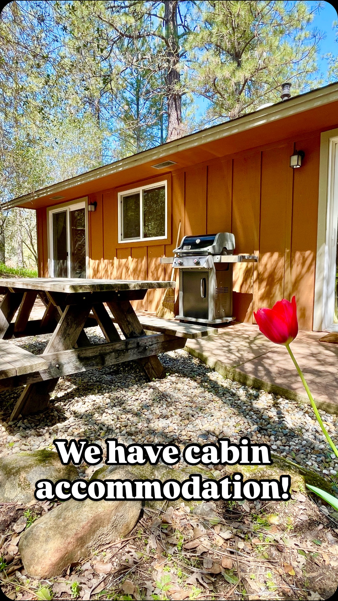 Did you know that Camp Lotus has cabins?
This is our Mokelumne cabin that sleeps 5. The kitchen is fully equipped. Private bathroom and patio. Perfect for spring time when nights and mornings are chilly and great for summer days when it’s hot 🥵
#southforkamerican
#rivercamping
#eldoco
#eldoradocounty
#sierrafoothills
#visitgoldcountry
#cabins