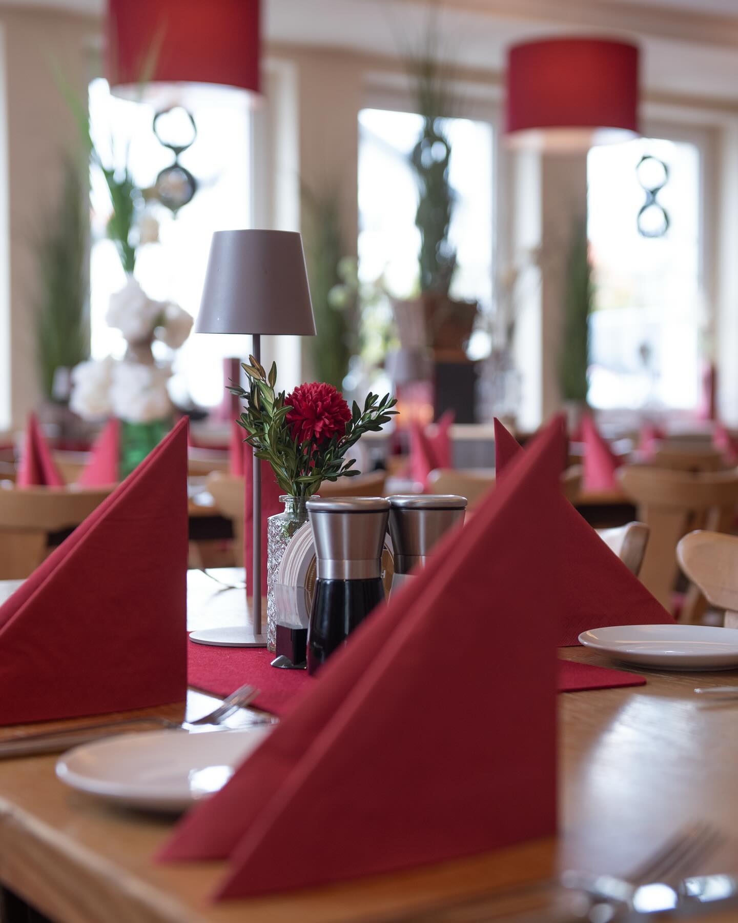 📸
@hoelterdanielfotografie