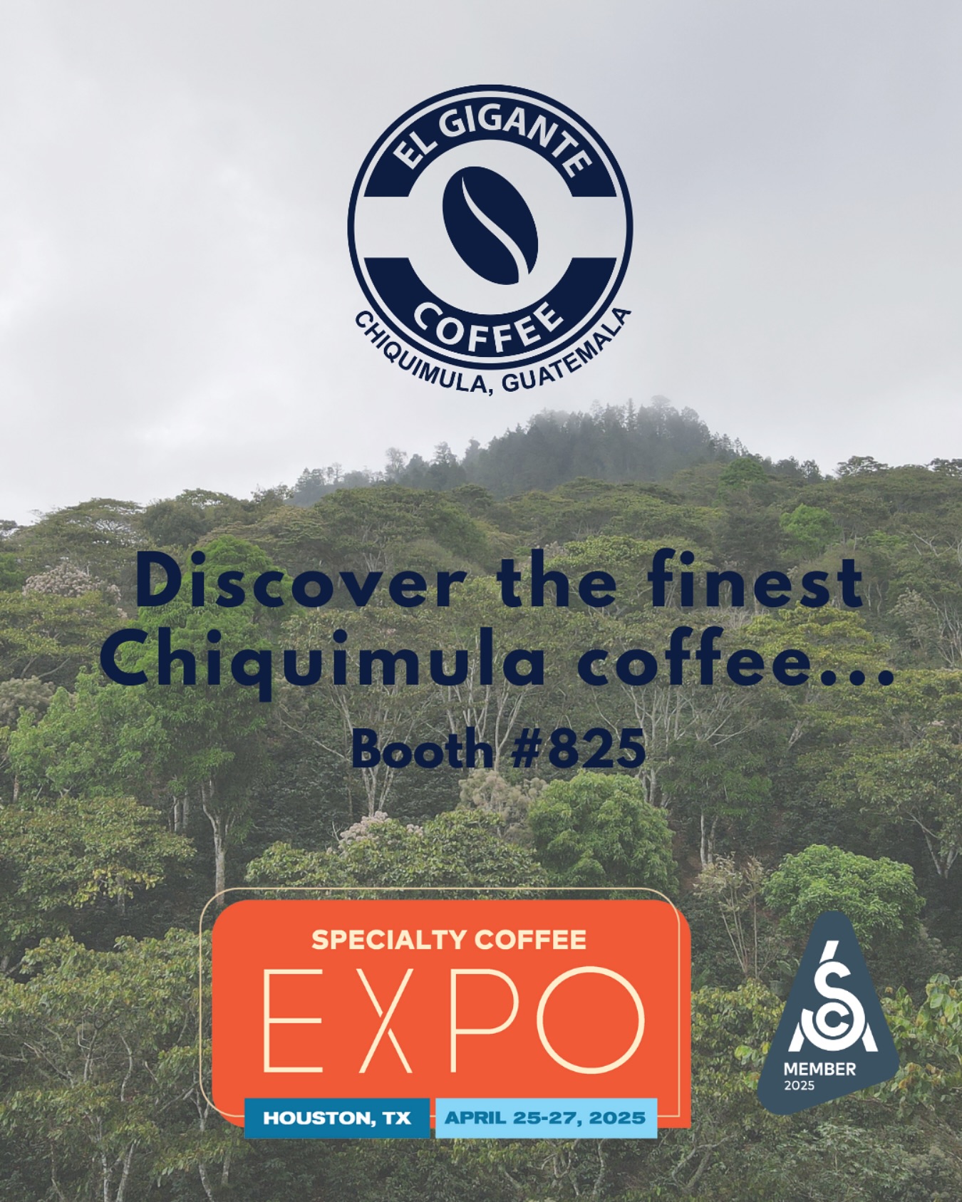 ☕ Experience the excellence of Chiquimula coffee at the Specialty Coffee Expo in Houston, TX! Visit us at Booth #825 to taste the finest from El Gigante Coffee—crafted with passion and precision from our estate in Chiquimula, Guatemala. 🌟 April 25-27, 2025. See you there! #SpecialtyCoffeeExpo #ElGiganteCoffee #ChiquimulaCoffee #CoffeeExcellence #GuatemalaCoffee #CoffeeLovers