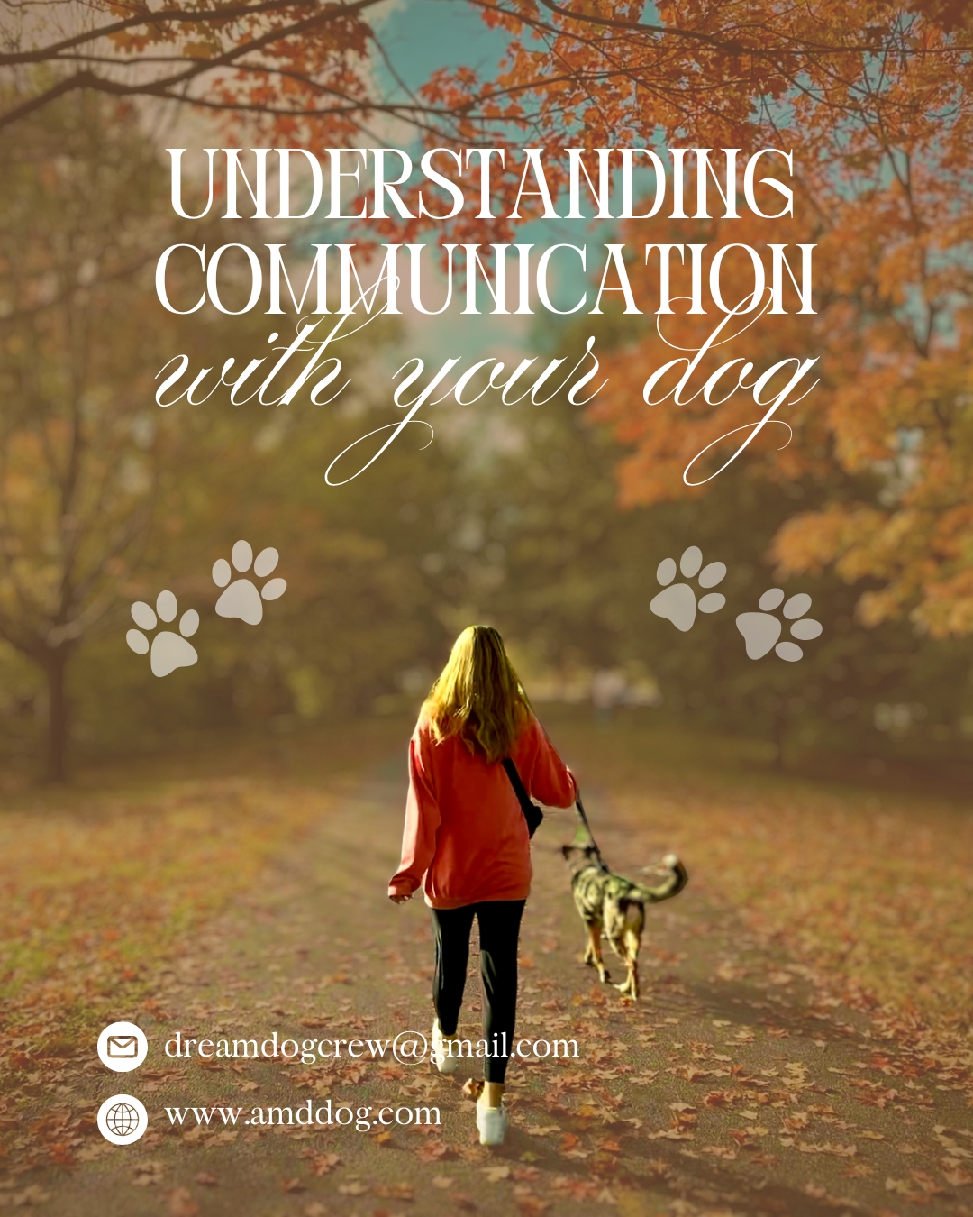 Your dog is always listening—are you always communicating?
Every word, gesture, leash movement, or lack of follow-through tells your dog something. The more clearly and consistently we communicate, the more confident, connected, and well-behaved our dogs become. Confusion creates stress—clarity creates trust. 💬🐾
Let’s start talking in a way your dog understands.
xo, Steph 🫶
#dogtraining #dog #dogsofinstagram