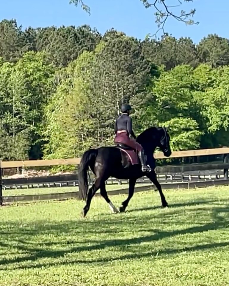 Luna reminded me the other day of something that is very important to keep in mind as we progress to higher levels of schooling.
That being that strong, well schooled horses who move in self carriage do not need us humans to keep them there. We do not need to micro manage, we do not need to help them come into frame, we do not need to put them where we think they should be. We need to allow them to continue to move freely in their own power.
The horse doesn’t need to rely on us at this point and it truly becomes a dance, with the reins as a subtle form of communication to help guide them through the dance.
There shouldn’t be signs of distress, tension, heaviness or control. That’s not what dancing is about
#classicaldressage #dressage #pocequestrian #horsetrainer
