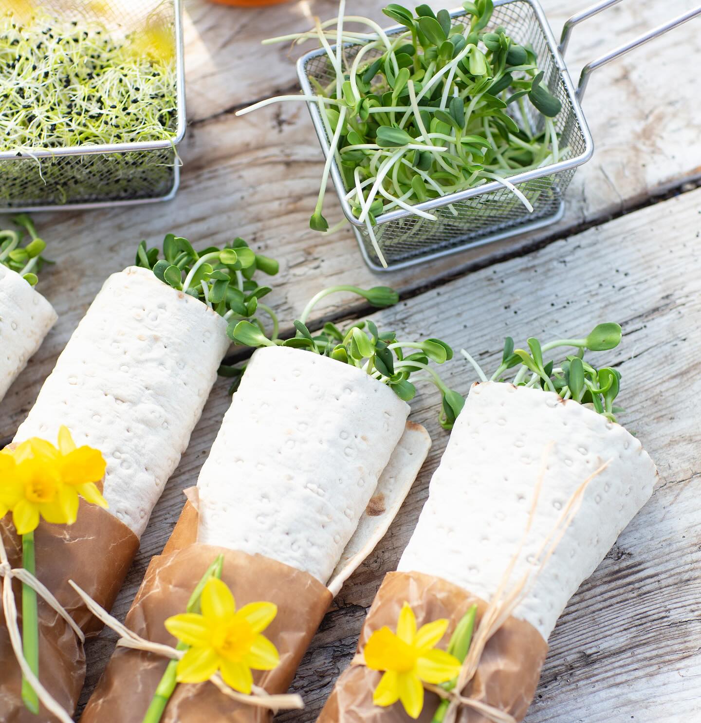 Solrosskott + tunnbröd = påsklovets godaste mellanmål! 🌱
Rulla ihop tunnbröd med ditt favorittillbehör och toppa med våra krispiga, svenskodlade solrosskott – ett enkelt, fräscht och mättande mellanmål som passar perfekt att ta med på utflykten, picknicken eller bara njuta av hemma i vårsolen.
Tips: Lägg till färskost, hummus, ost eller pålägg du gillar – och låt skotten göra resten!
#solrosskott #eko #ekologiskt #nyttogrönt #svenskodlat #frånsverige #grönt #mellis #mellanmål