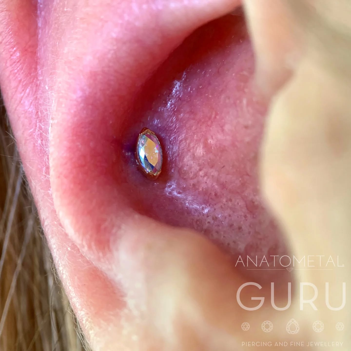 How does one capture all the colours in this jewellery? With difficulty, that's how. 😅
We ordered a few of these 18kt solid gold Marquise attachments from @anatometalinc /@anatometaluk with some funky colours and we haven't been able to keep hold of them for long! This client chose this yellow gold and AB cz marquise for their fresh conch piercing and it just looks so adorable! It's like a little rainbow flickering in the sunlight! 🌈💎
Curated by Gem, Pierced by Franki
•
•
•
•
•
•
•
•
•
•
#ukapp #safepiercinguk #newpiercing #earpiercing #piercing #bodypiercing #brighton #beautiful #piercingjewelry #earcuration #curatedear #highquality #shopsmall #shopindependent #shoplocal #northlaine #conch #marquise #conchpiercing #anatometalinc #yellowgold #ukappmember